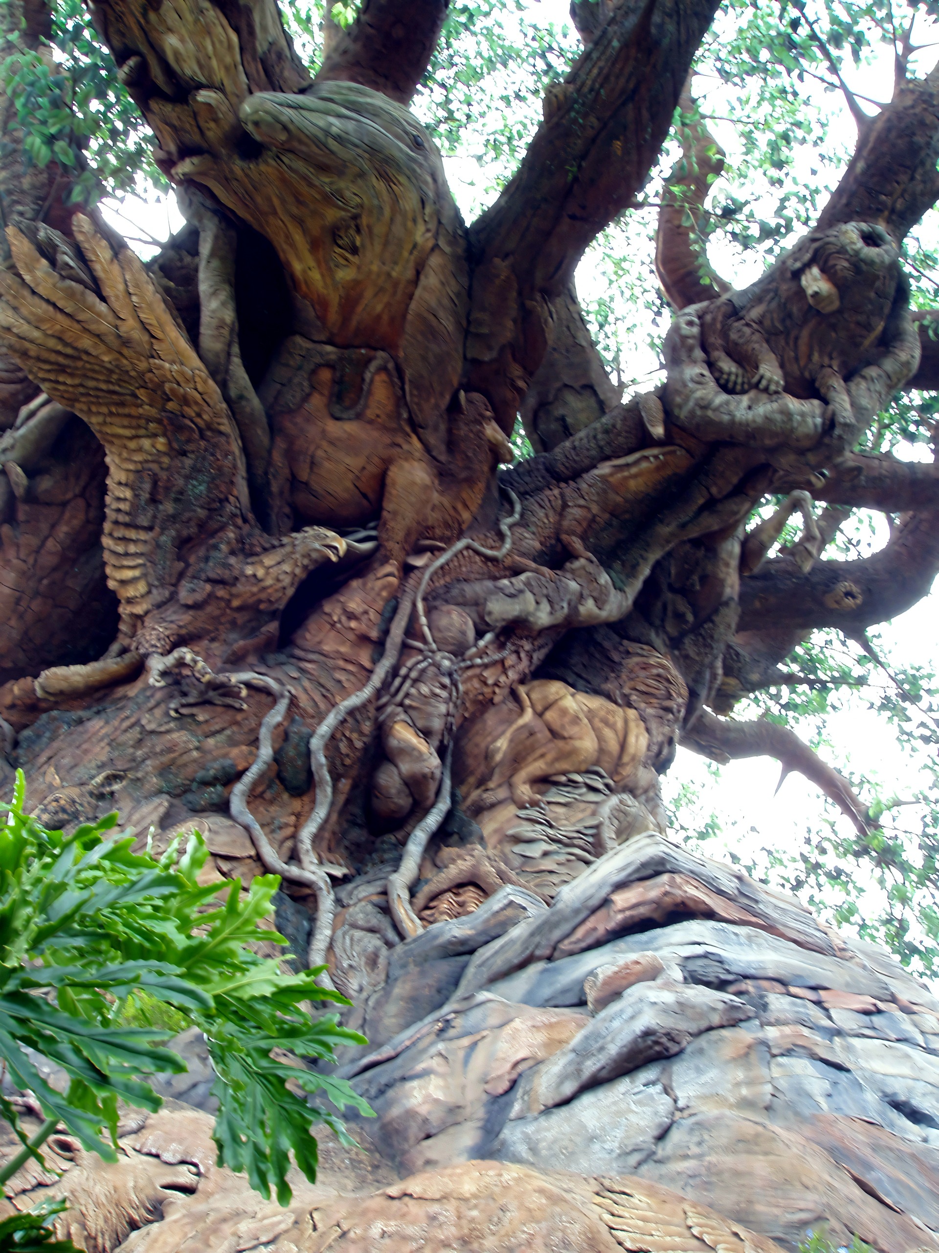 Tree of Life trunk carvings, similar close-up angle, Disney's Animal Kingdom, June 2006