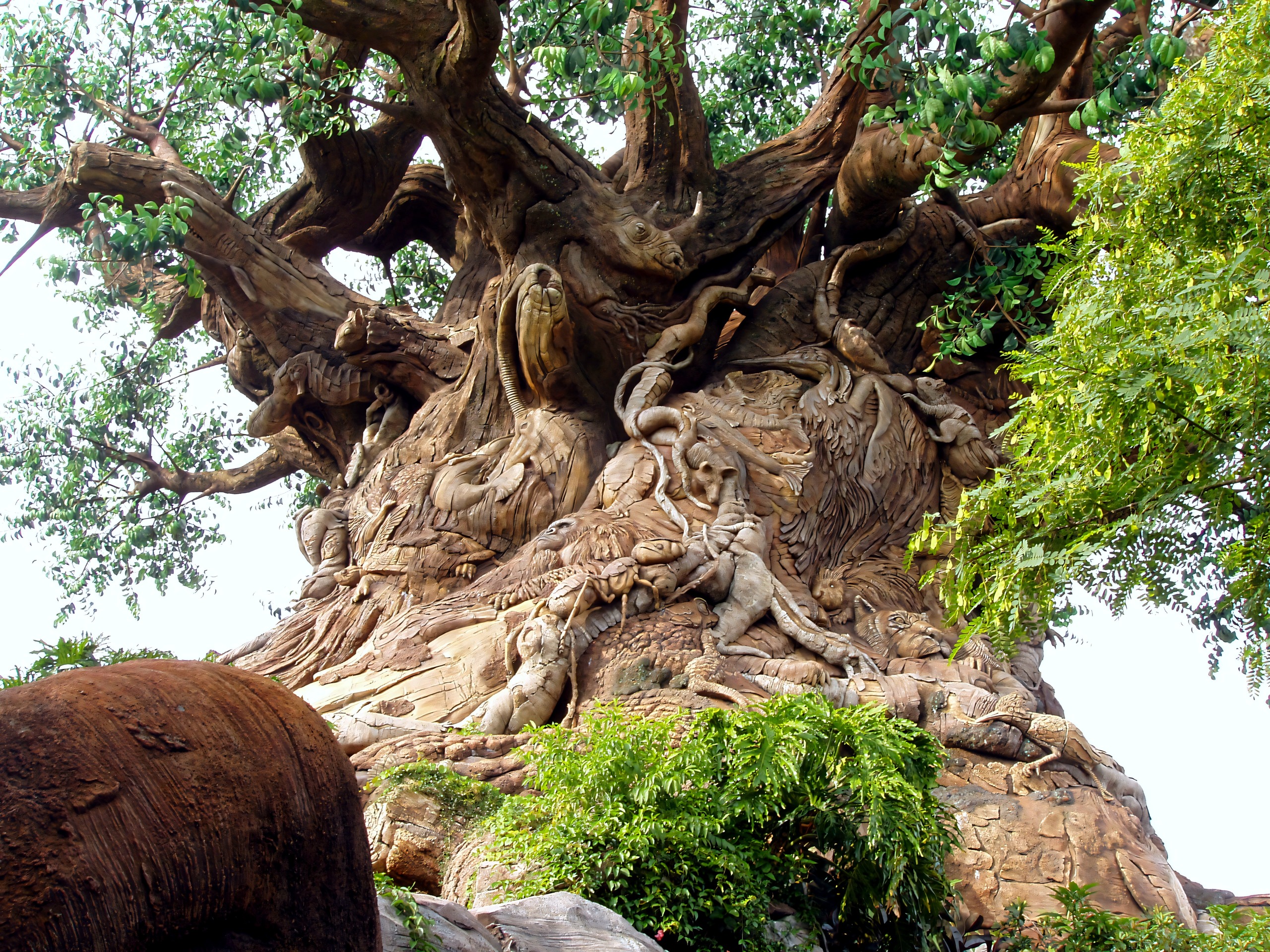 Tree of Life trunk closeup showing carved animals, Disney's Animal Kingdom, June 2006