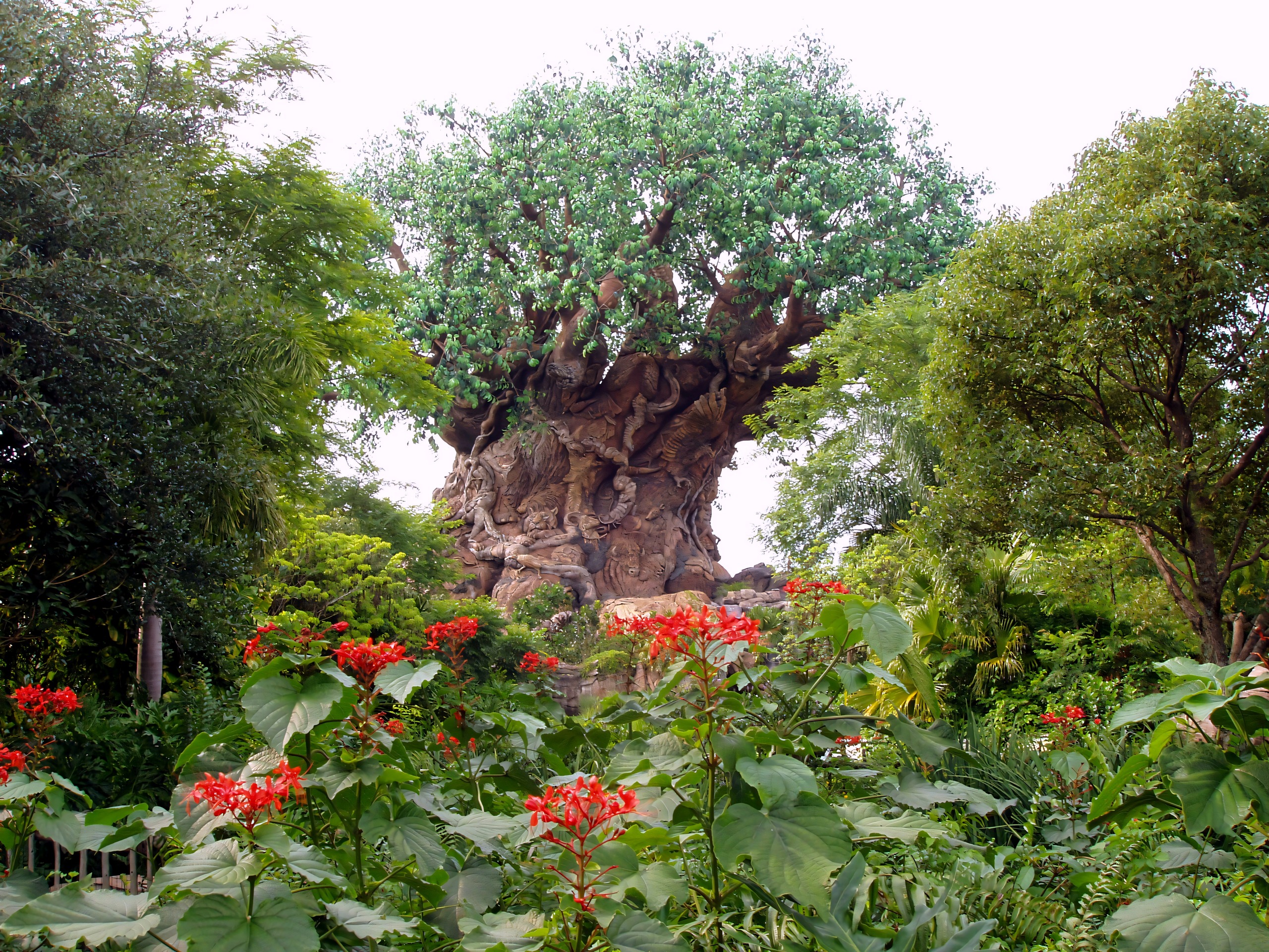 Tree of Life wide shot with red flowers foreground, Disney's Animal Kingdom, June 2006