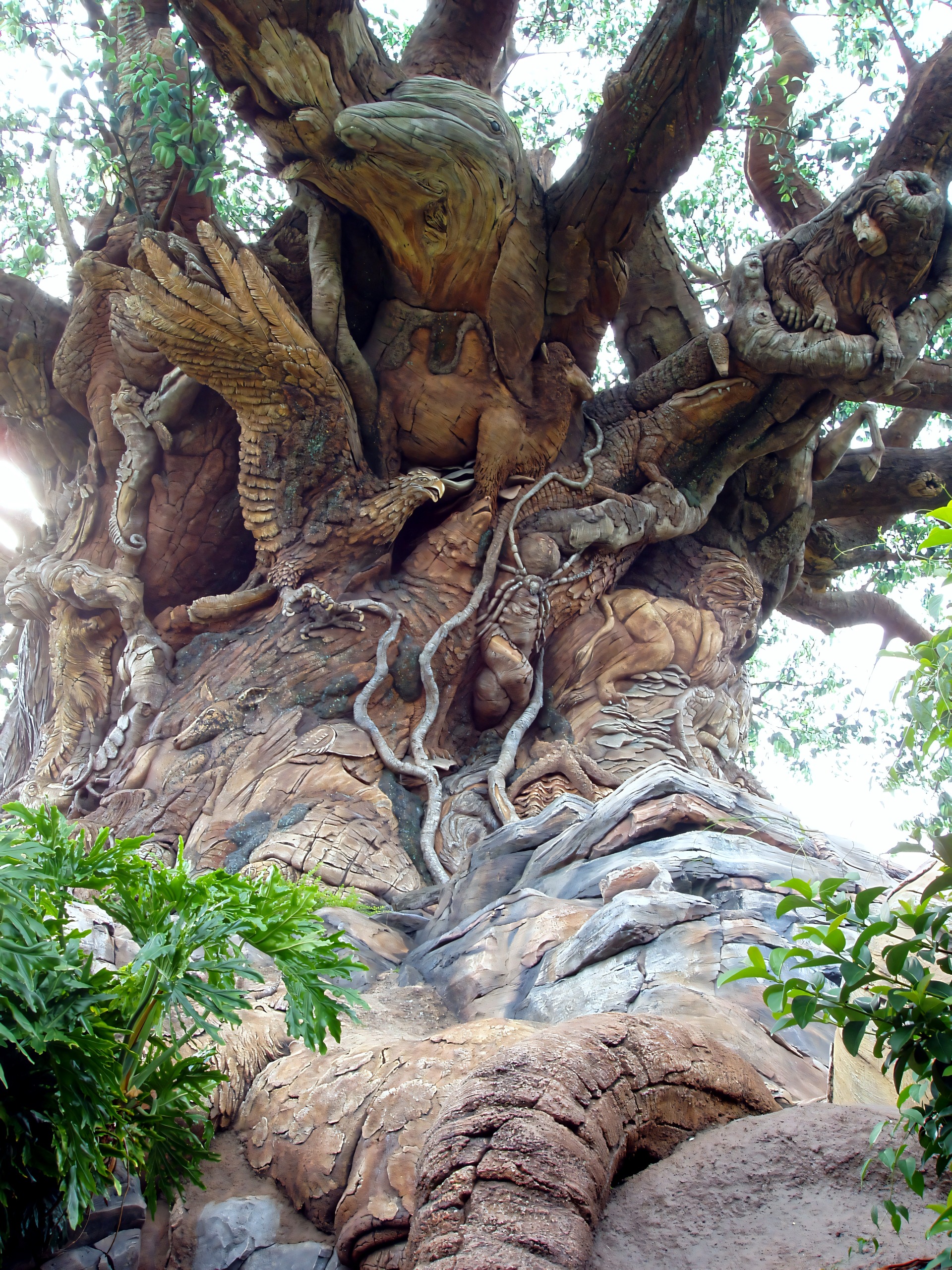Wide view of Tree of Life trunk showing carved animals, Disney's Animal Kingdom, June 2006