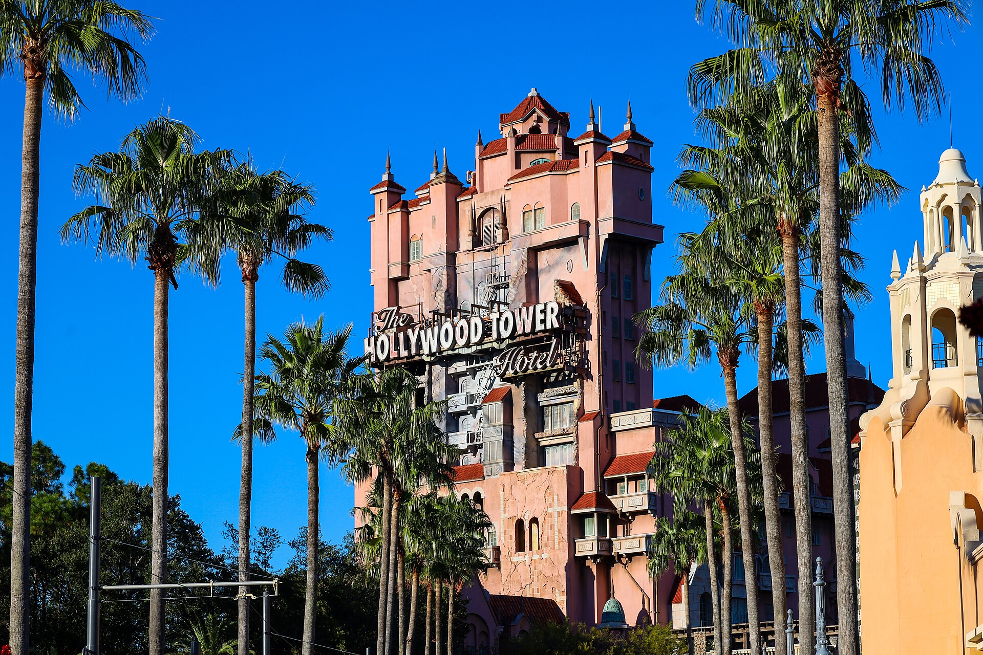 Disney's Hollywood Studios Height Requirements