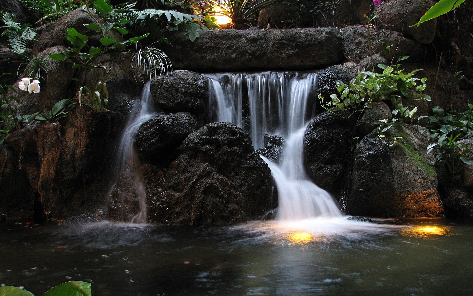 Disney's Polynesian Village Resort