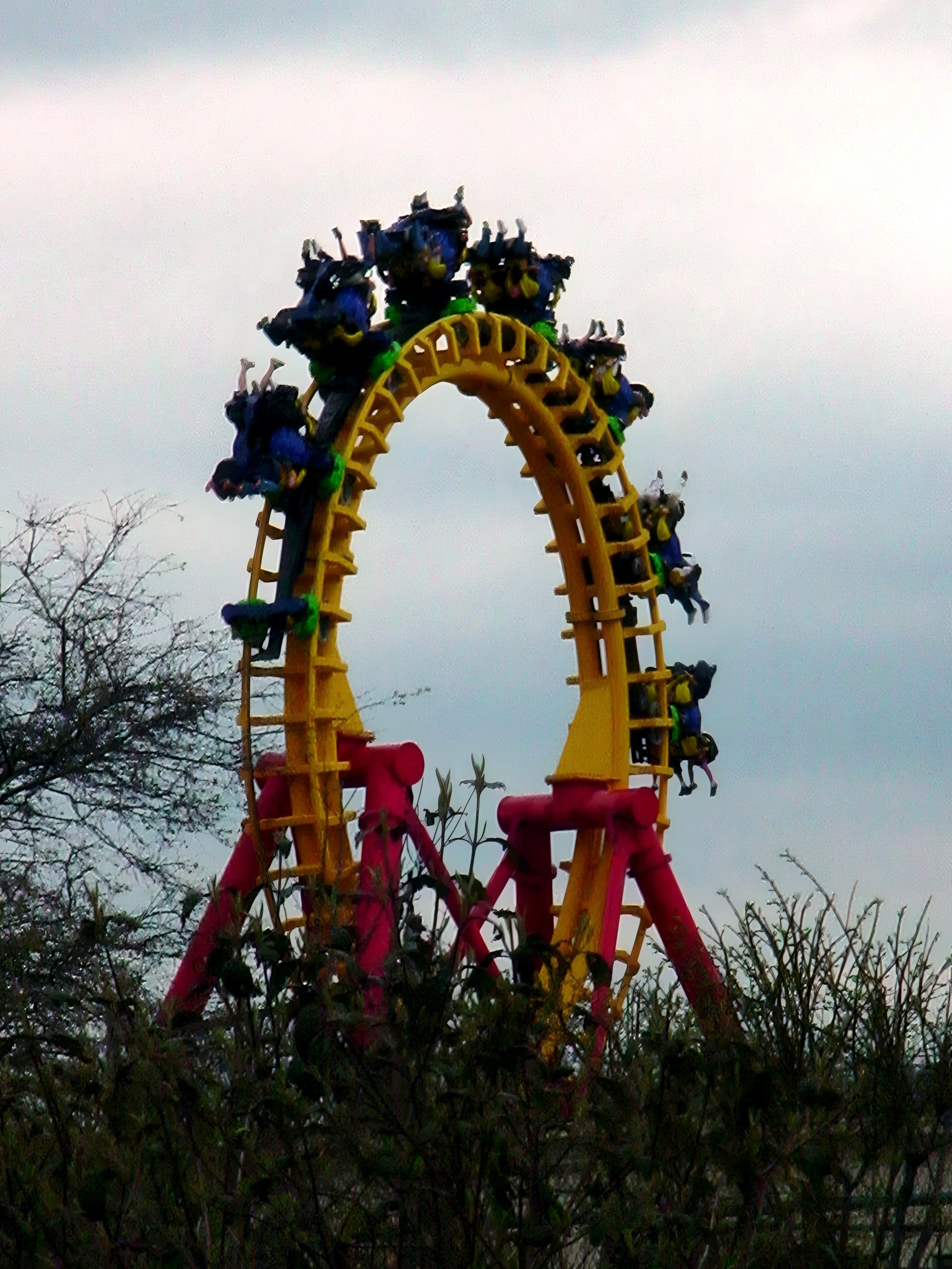 A Face/Off train through the vertical loop at Kings Island, April 2002