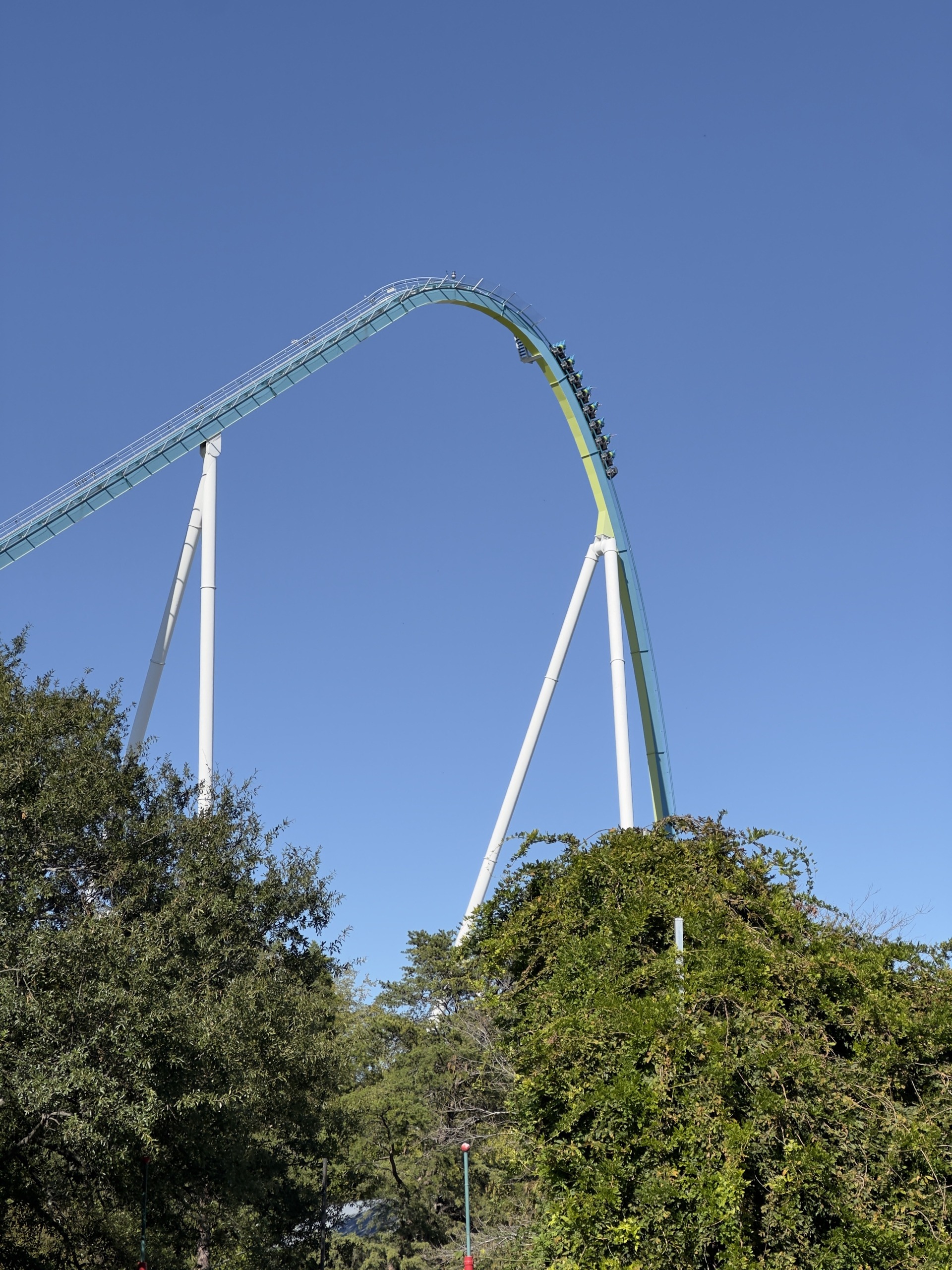 Fury 325's drop curving down over the trees, Carowinds, October 2024