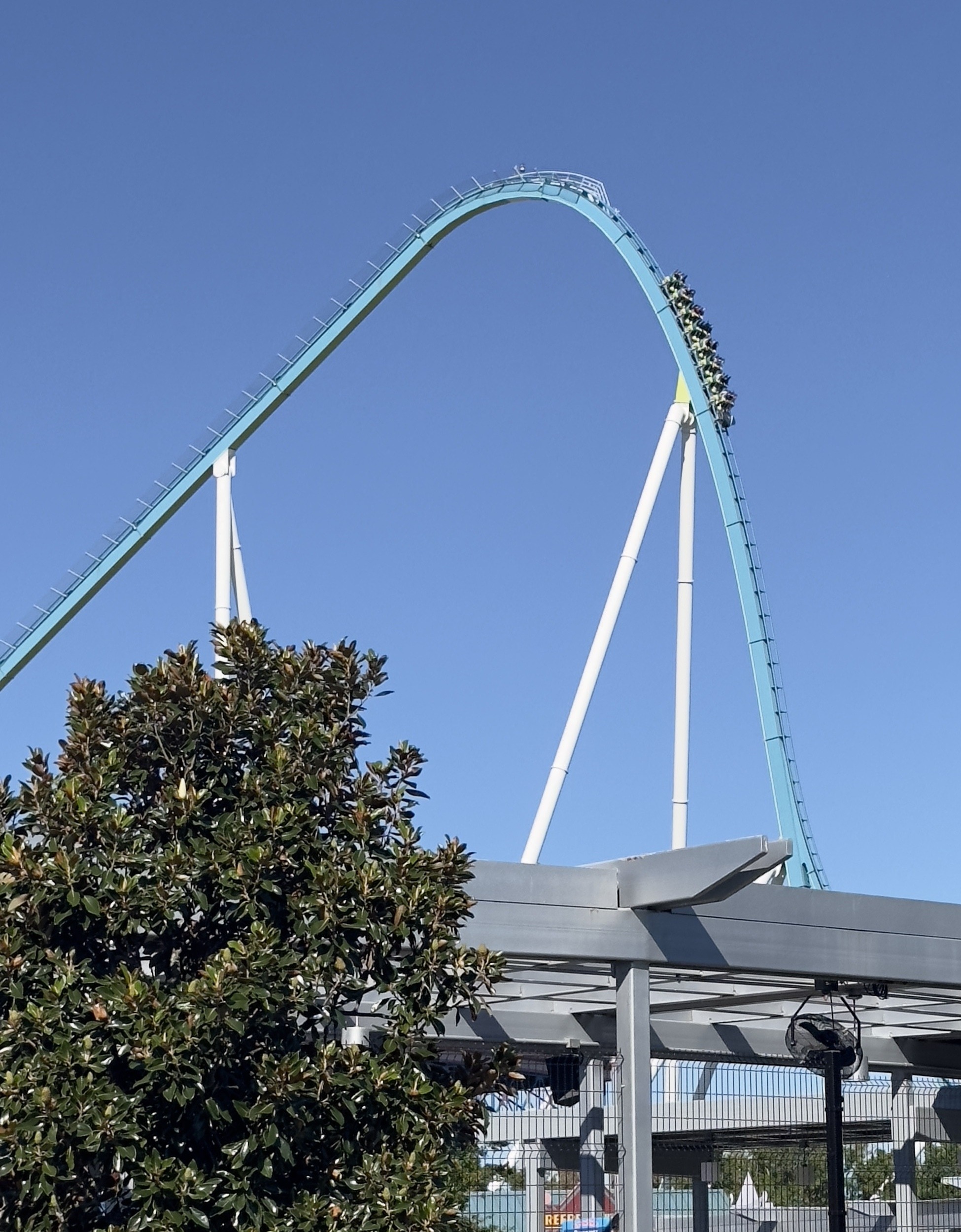 The top of Fury 325's lift hill against a blue sky above a magnolia tree, Carowinds, October 2024