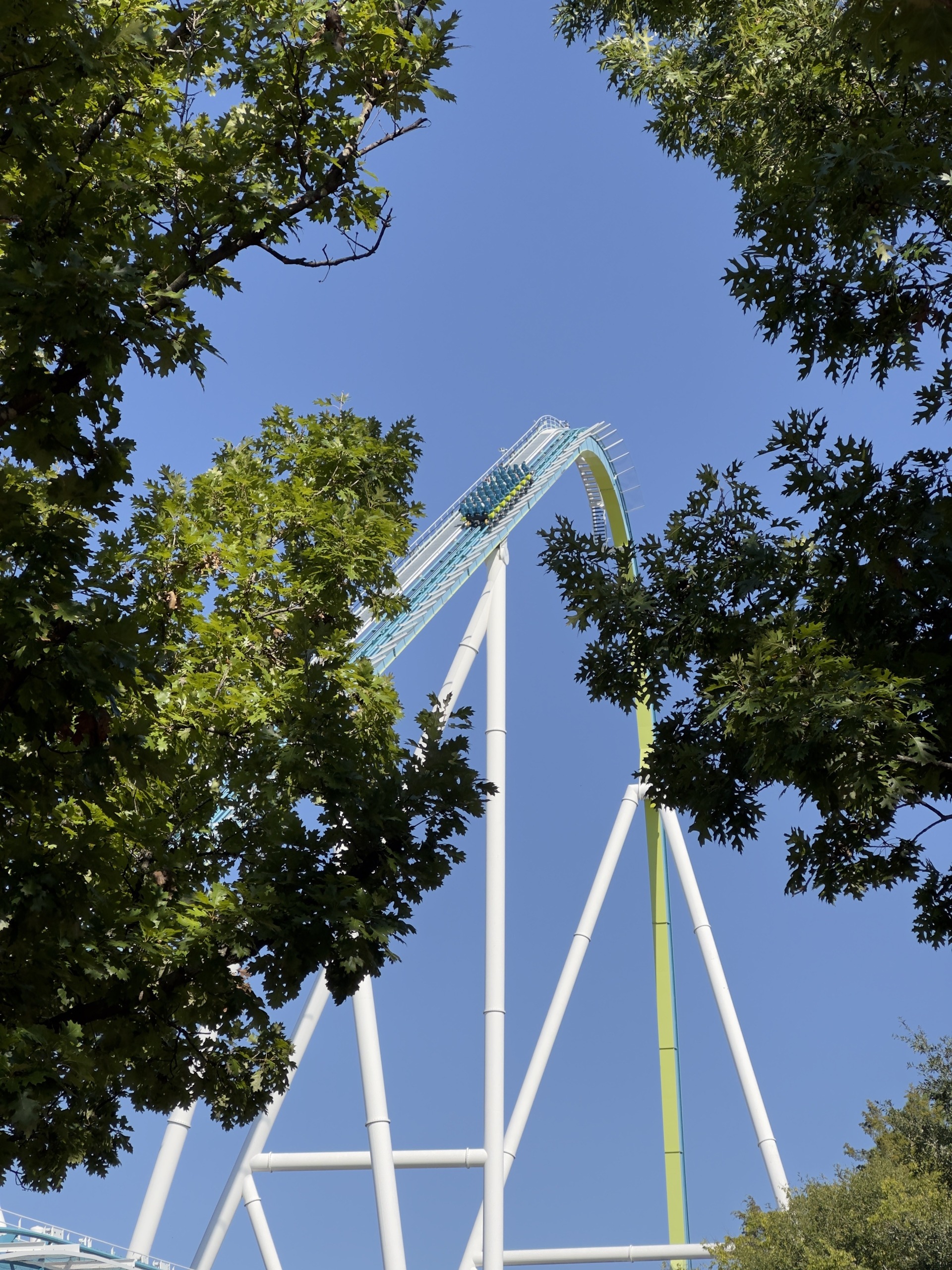 Fury 325's lift hill framed by oak branches, Carowinds, October 2024