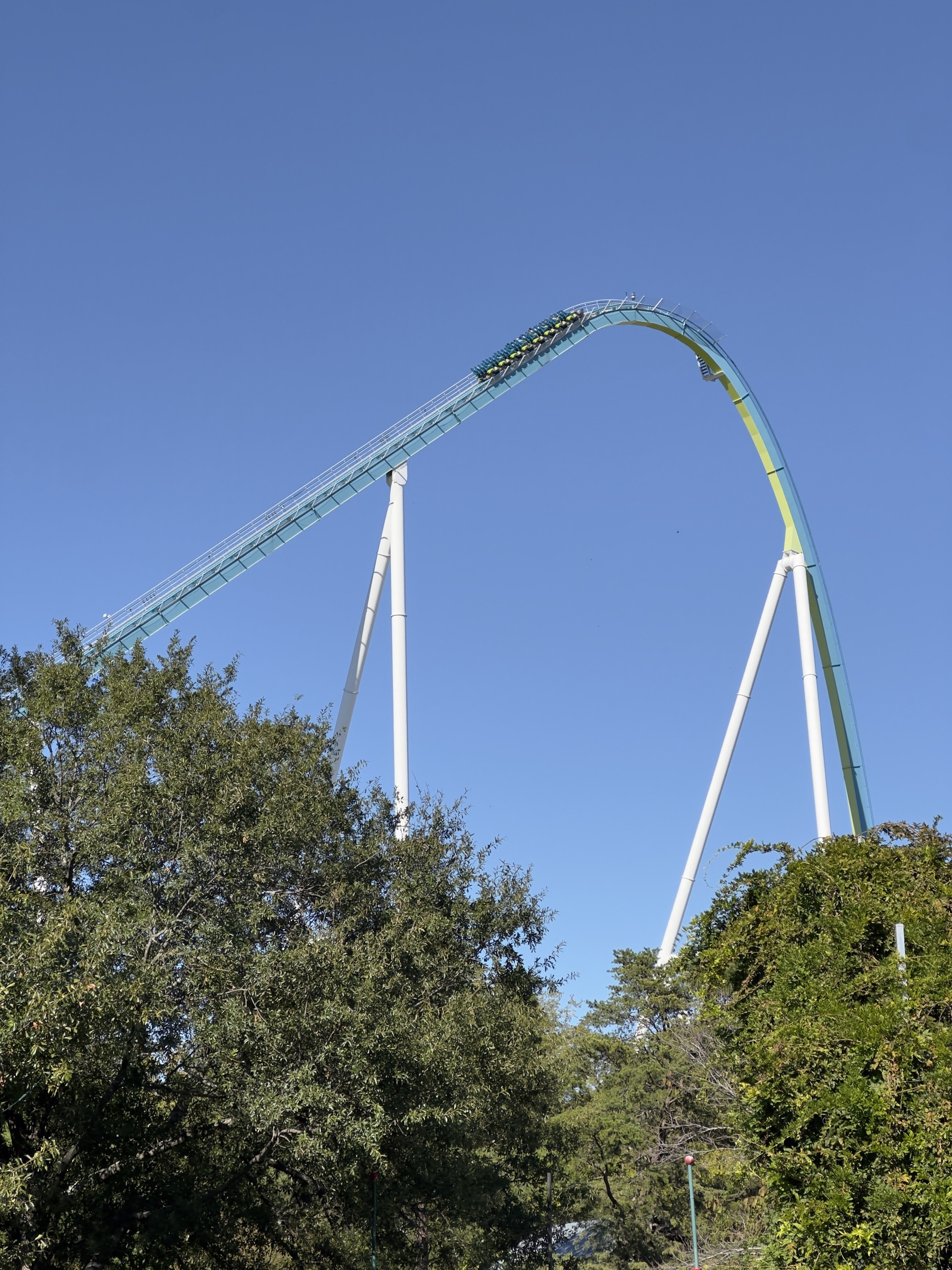 Fury 325's lift crest and drop over the treetops, Carowinds, October 2024