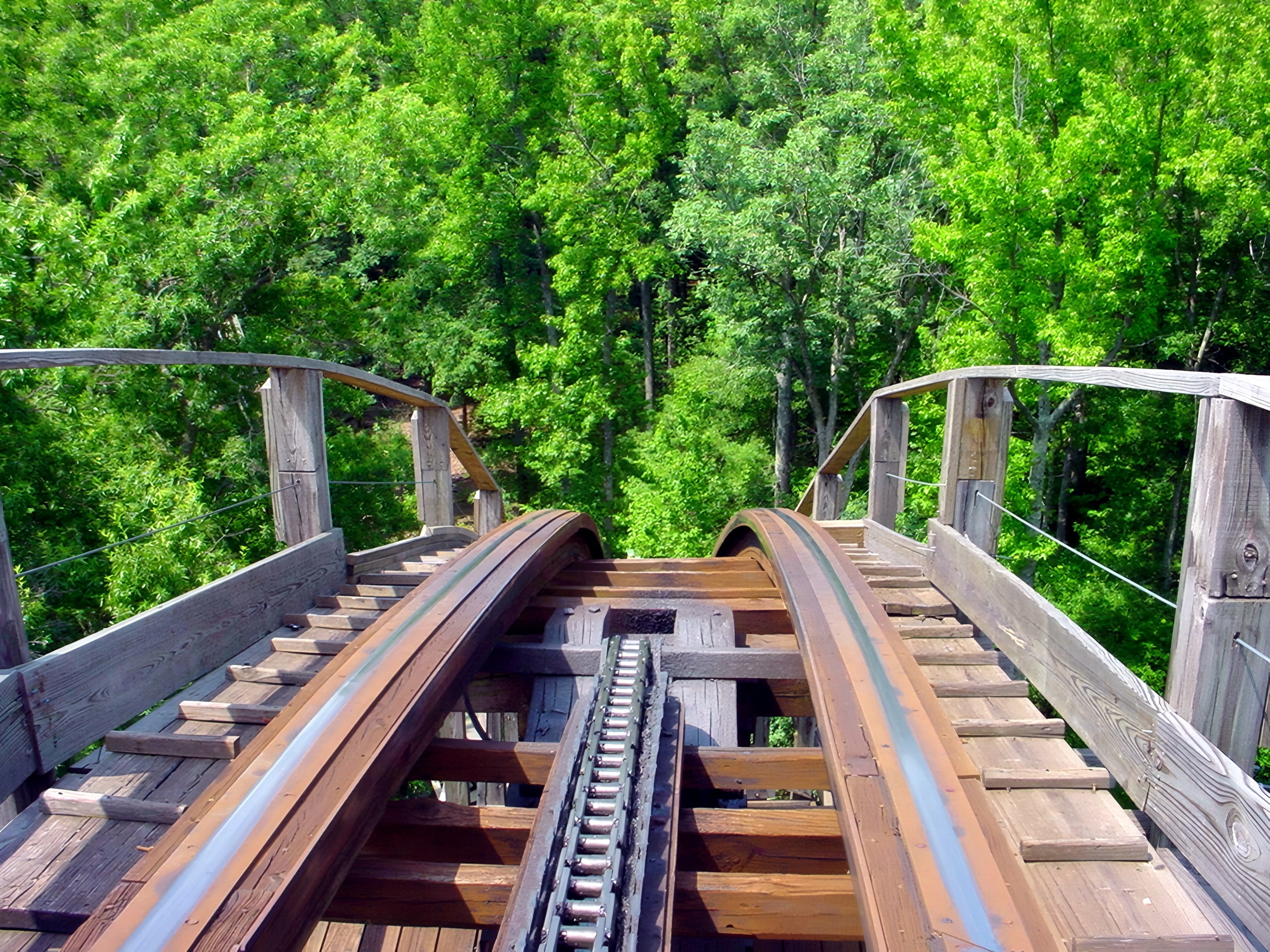 Grizzly's track cresting a hill into the trees, seen from the front seat at Kings Dominion, July 2001