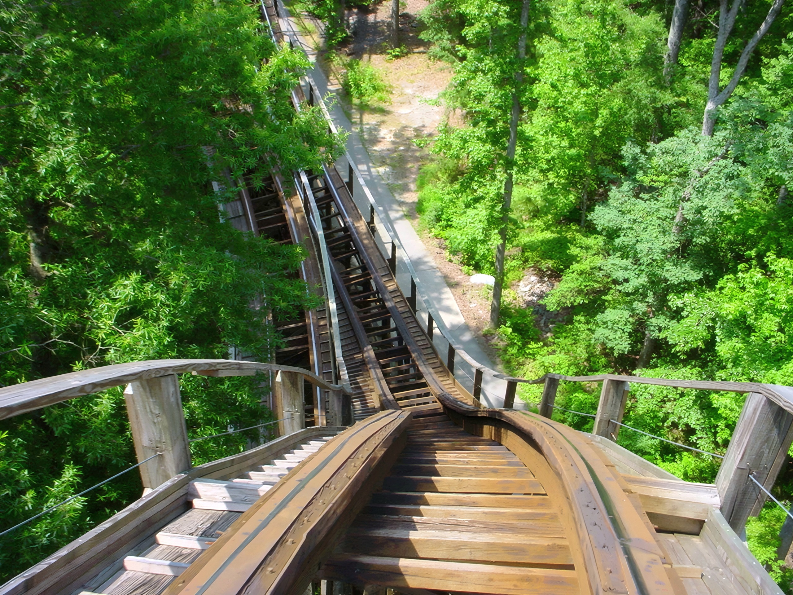 Grizzly's track dropping through the woods, seen from the train at Kings Dominion, July 2001