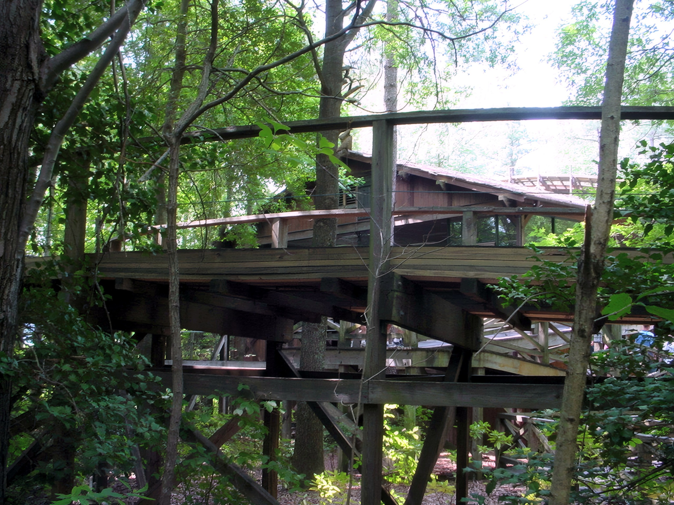 Grizzly's station and track seen through the trees at Kings Dominion, July 2001