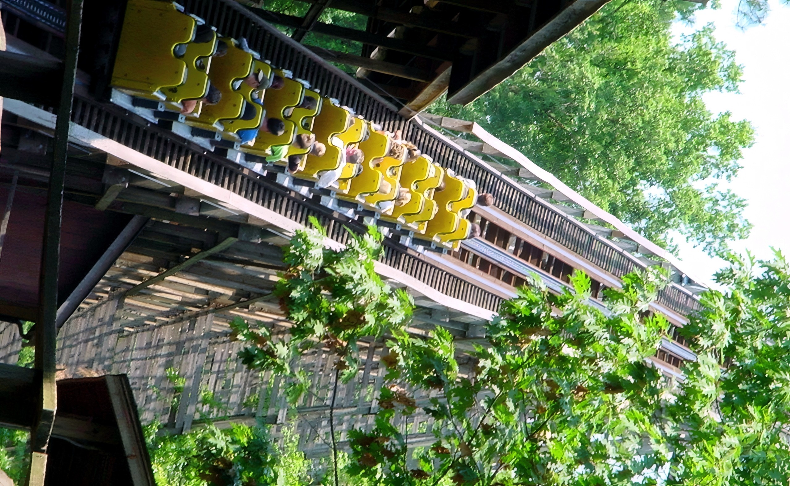 A yellow Grizzly train on the lift hill seen through the trees at Kings Dominion, July 2001