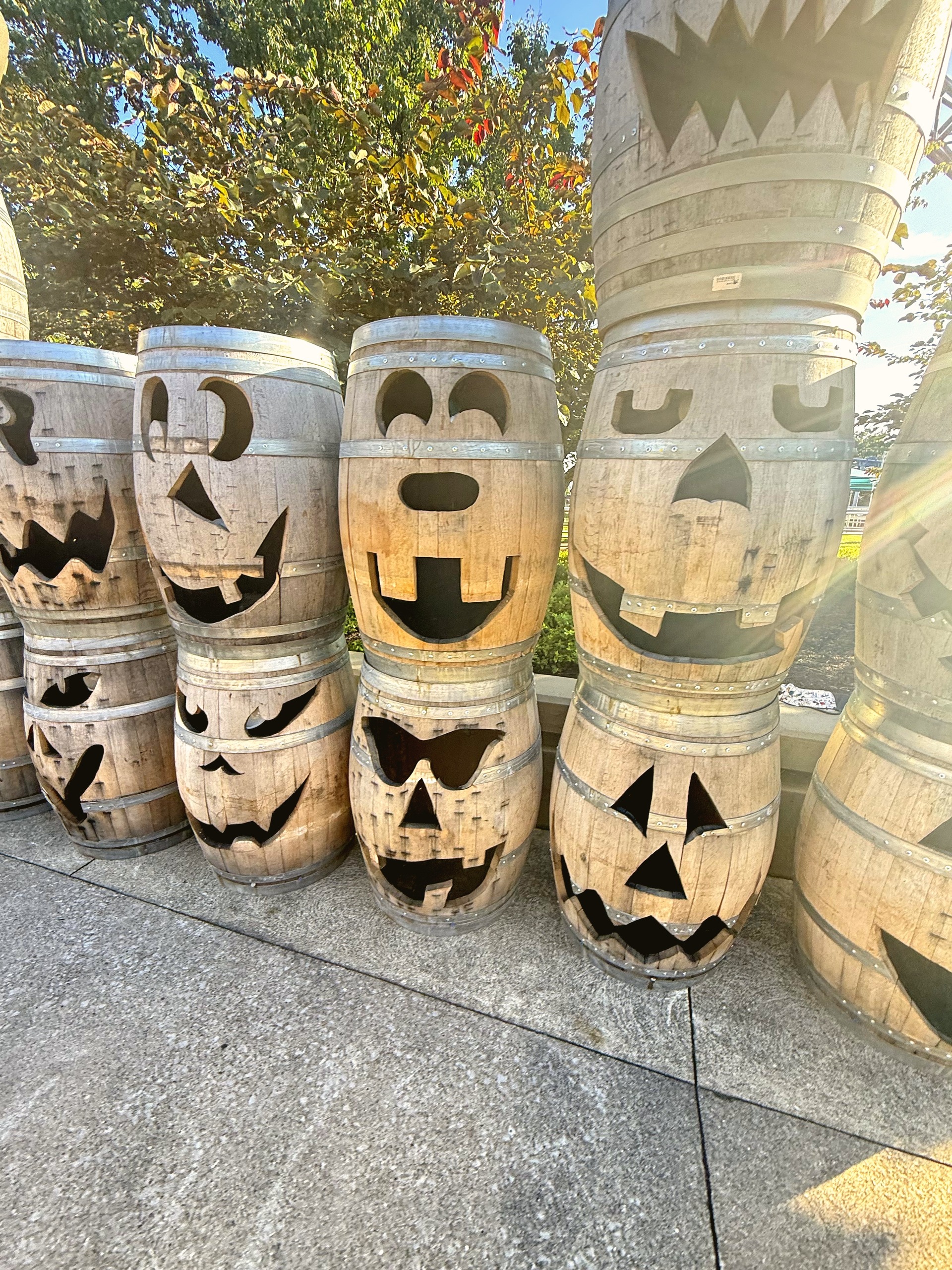 A row of carved jack-o-lantern barrels in evening sun with lens flare