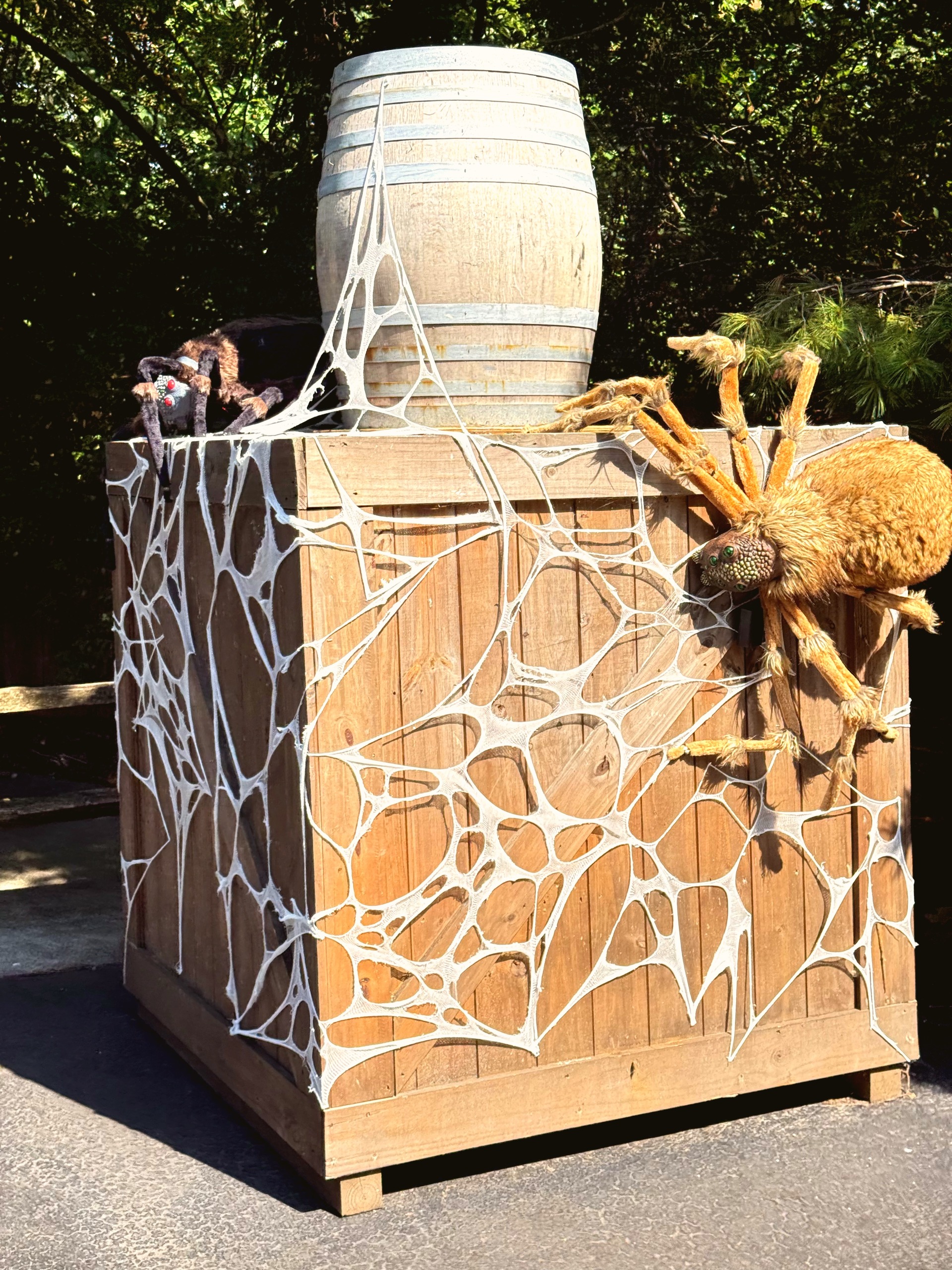 A giant fuzzy spider on a cobwebbed wooden crate with a barrel on top