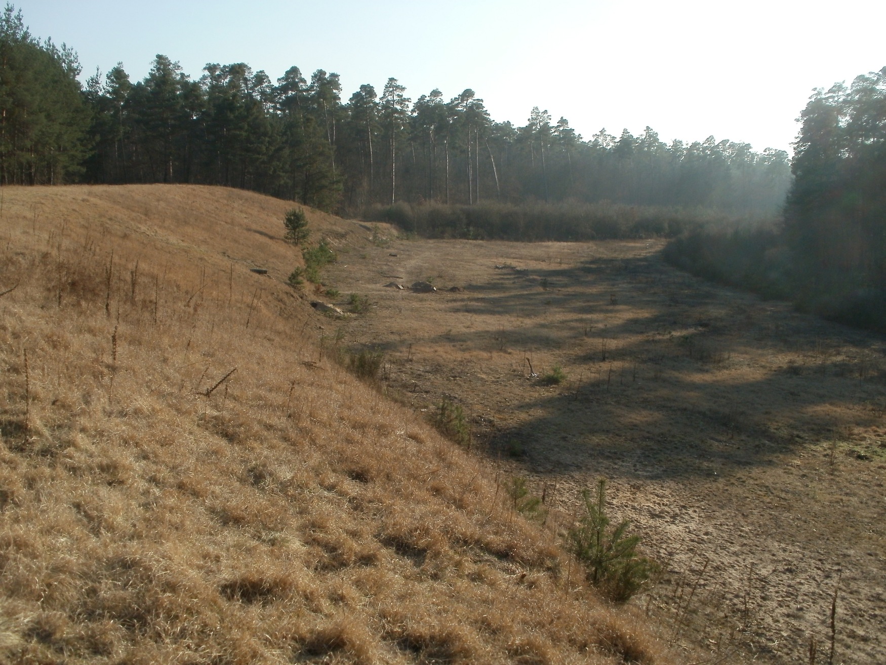 Hockenheimring