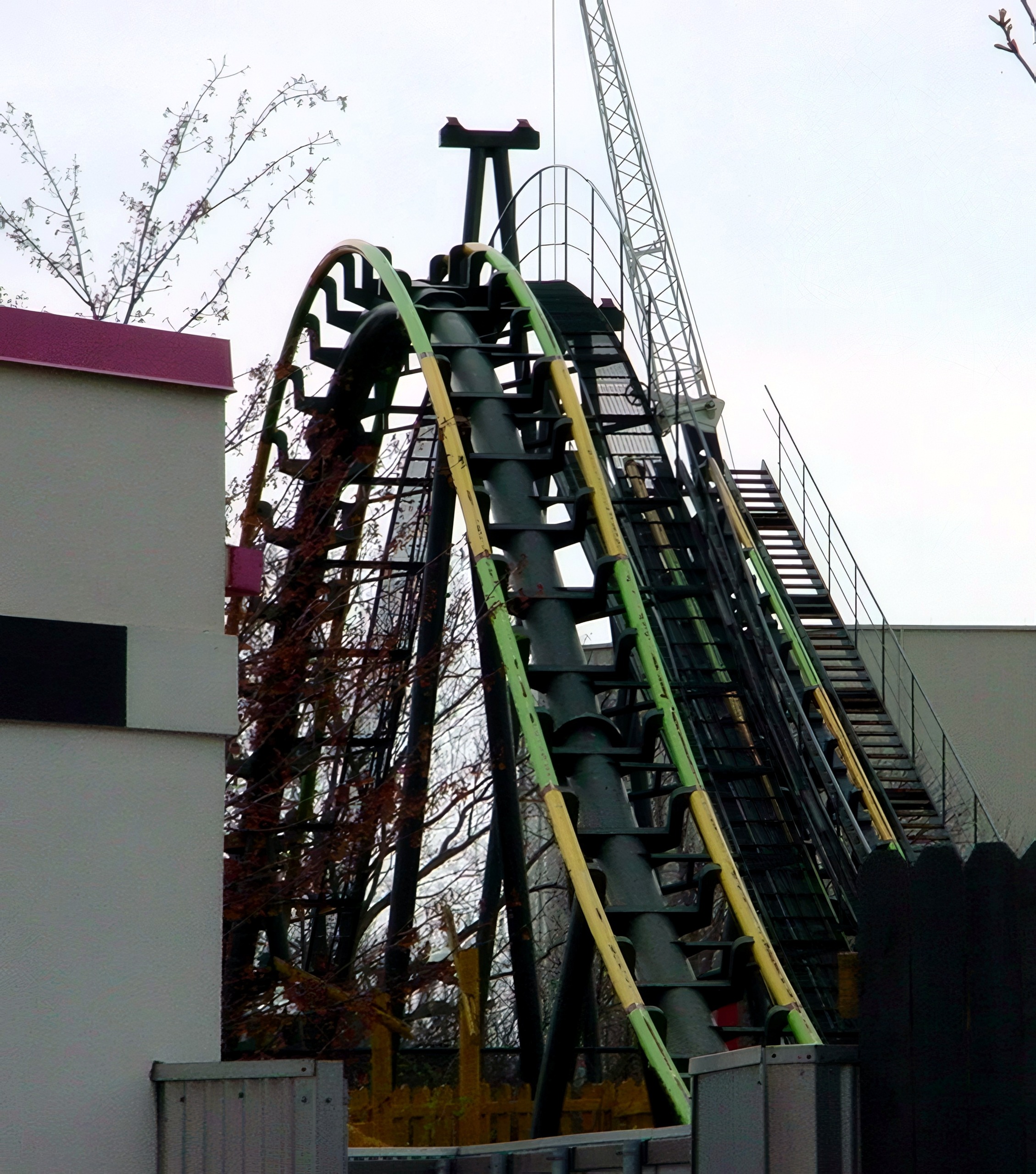 King Cobra's lift hill and track rising beside a building at Paramount's Kings Island