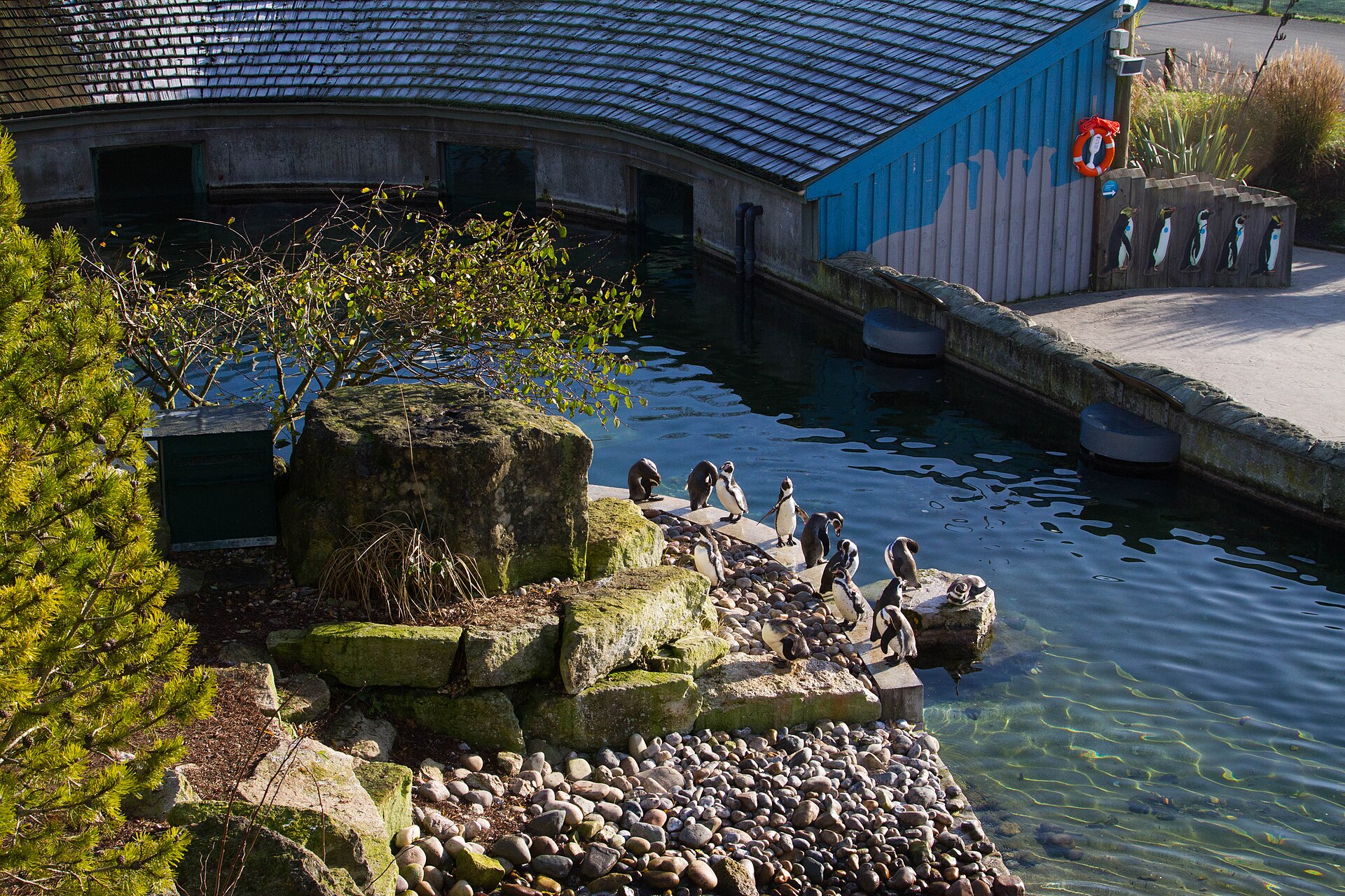 Marwell Zoo