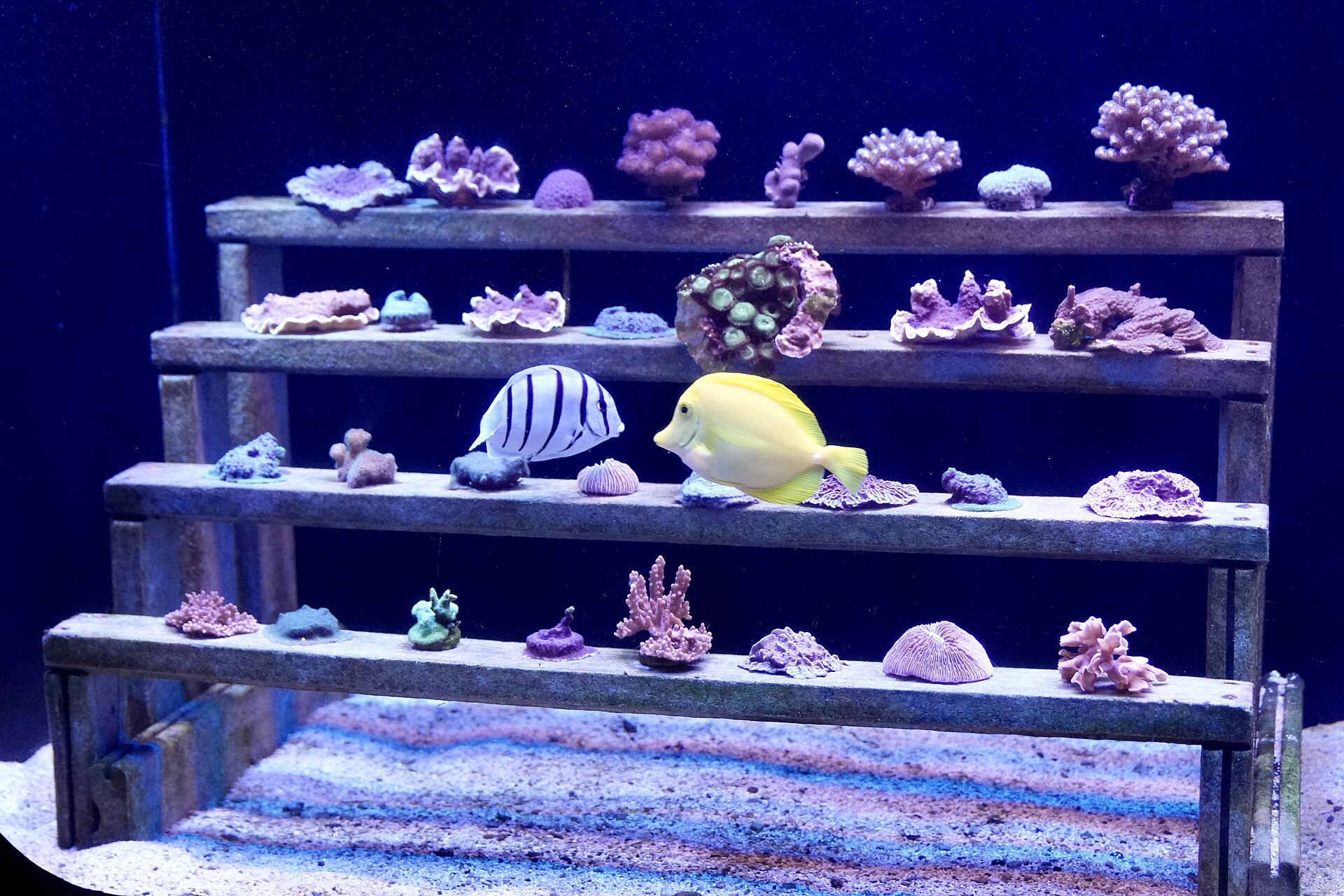 Maui Ocean Center