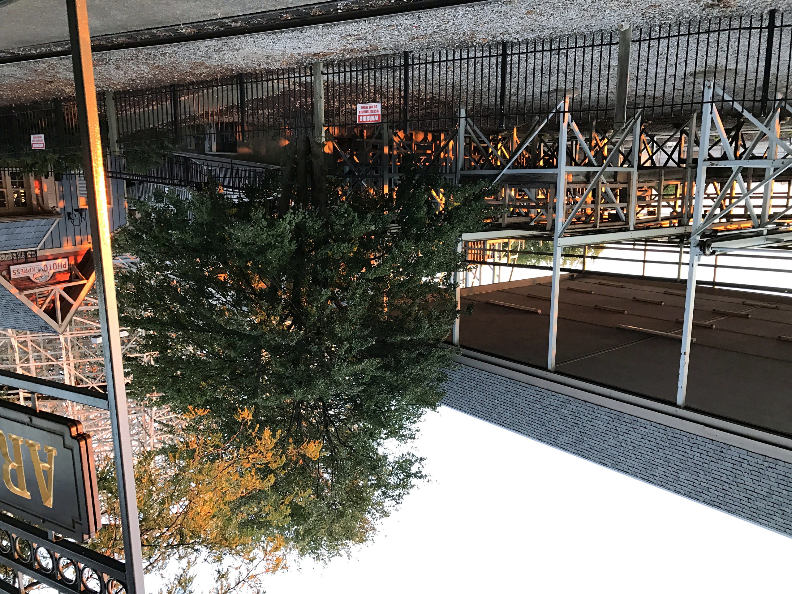 Scaffolding structure, tree, and Arrivals sign with coaster, Mean Streak, October 2016