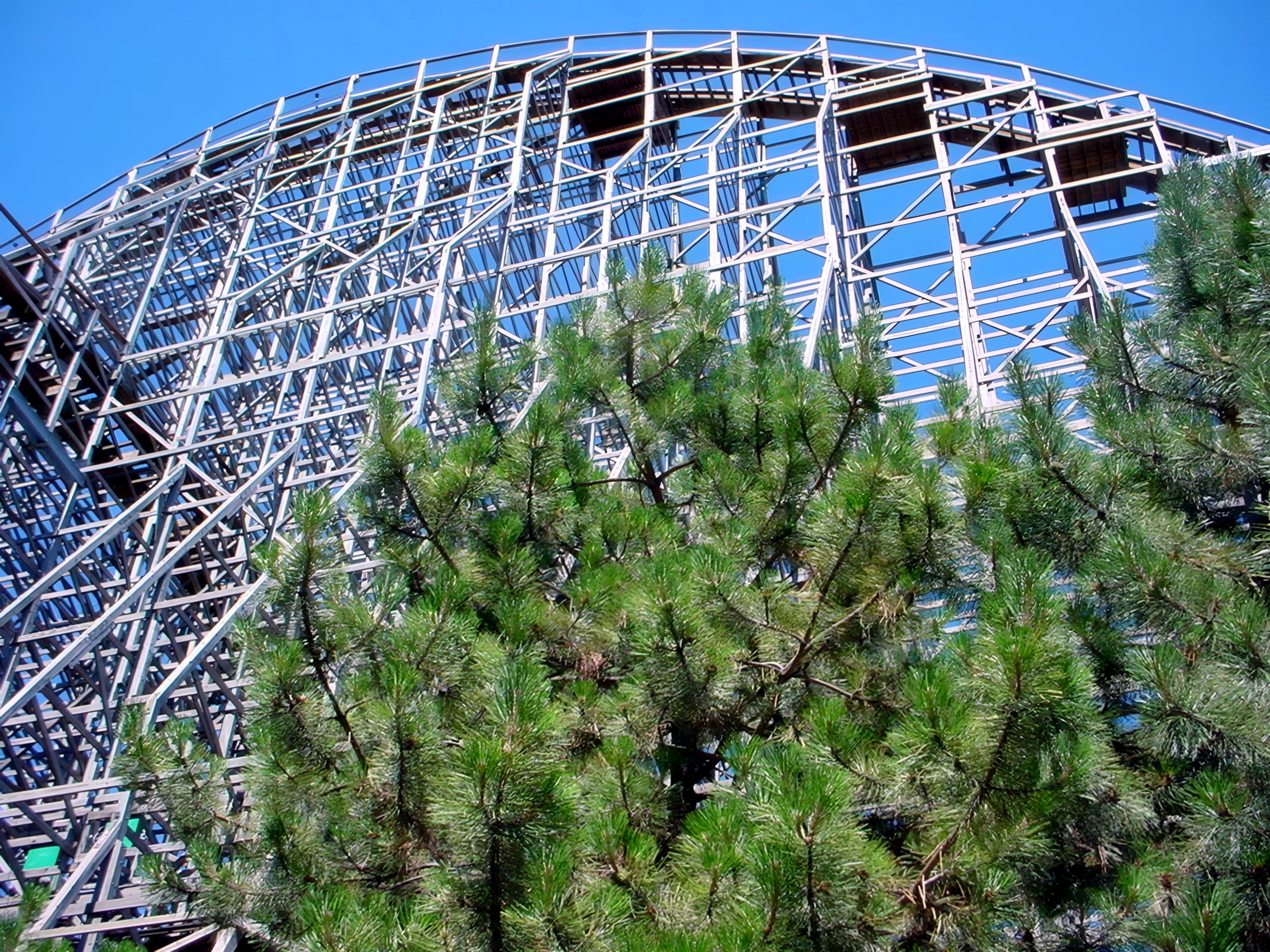 Mean Streak's structure seen through the pines at Cedar Point, July 2003
