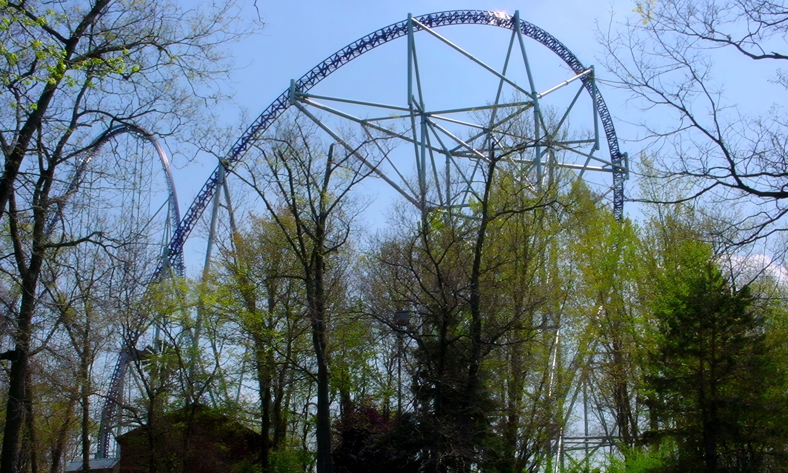 Millennium Force's 310-foot lift hill and first drop through the trees, May 2002