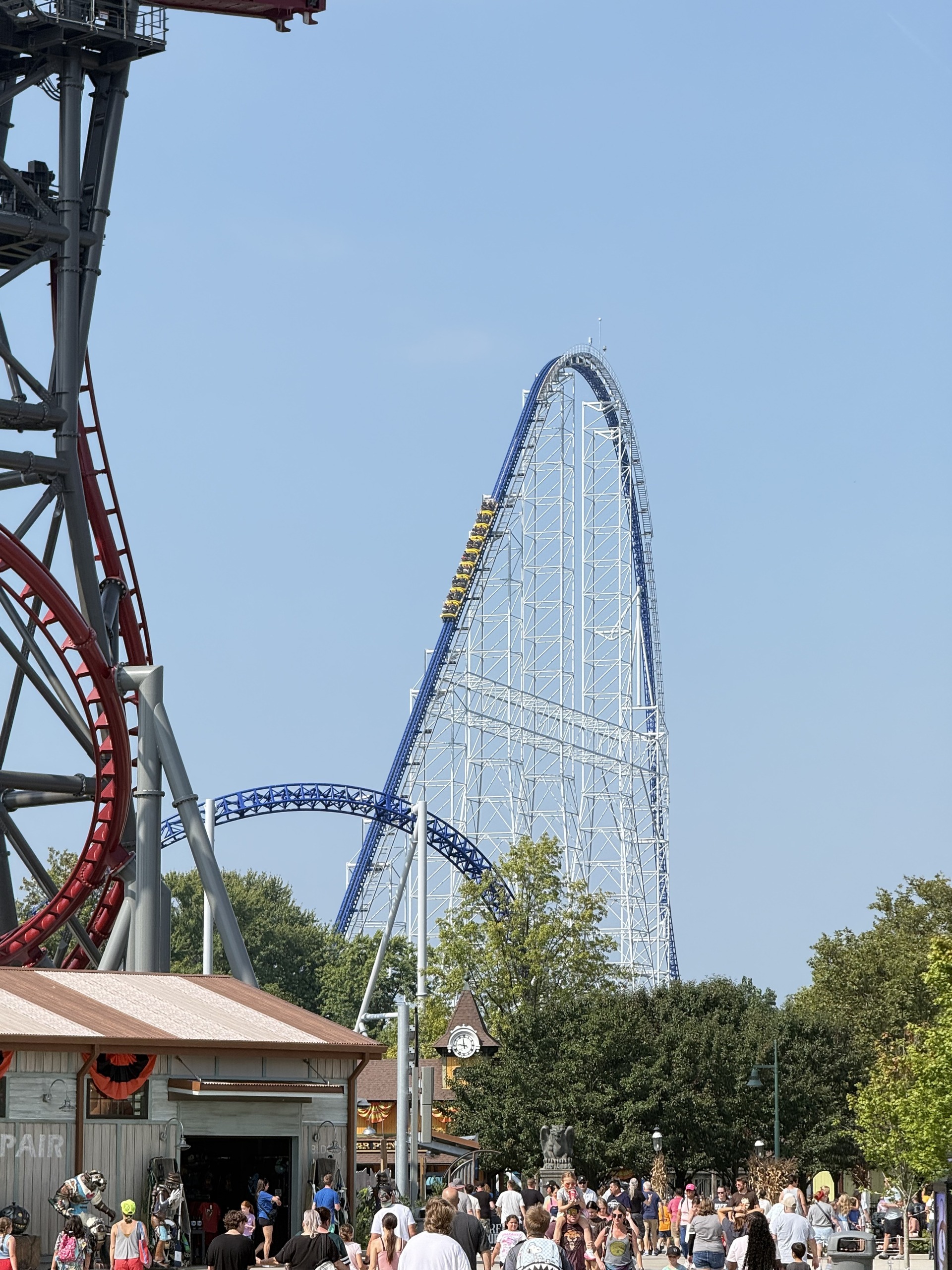 Millennium Force's lift hill with a train climbing, Siren's Curse's track in the foreground