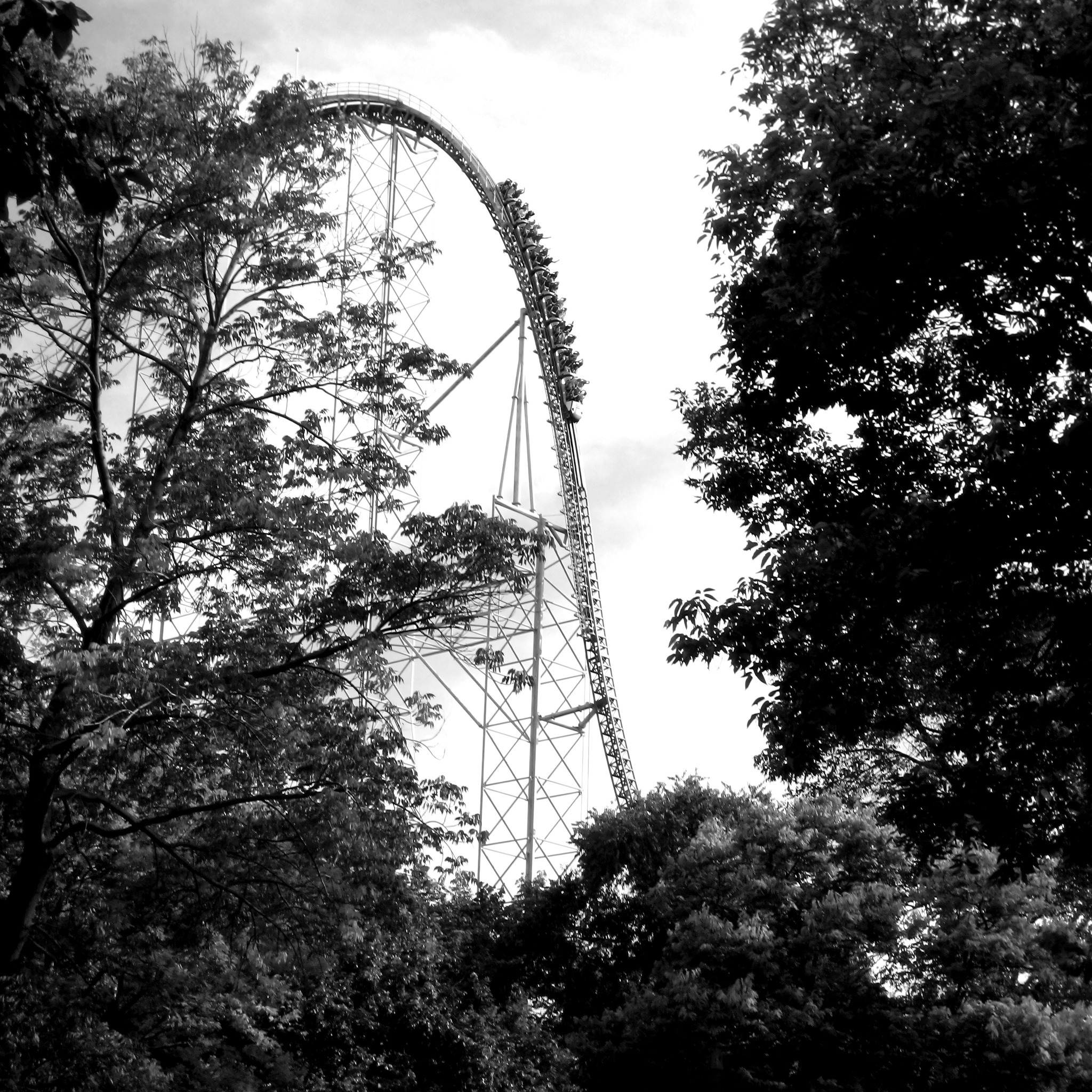 Millennium Force's lift hill through the trees in black and white, Cedar Point, September 2007