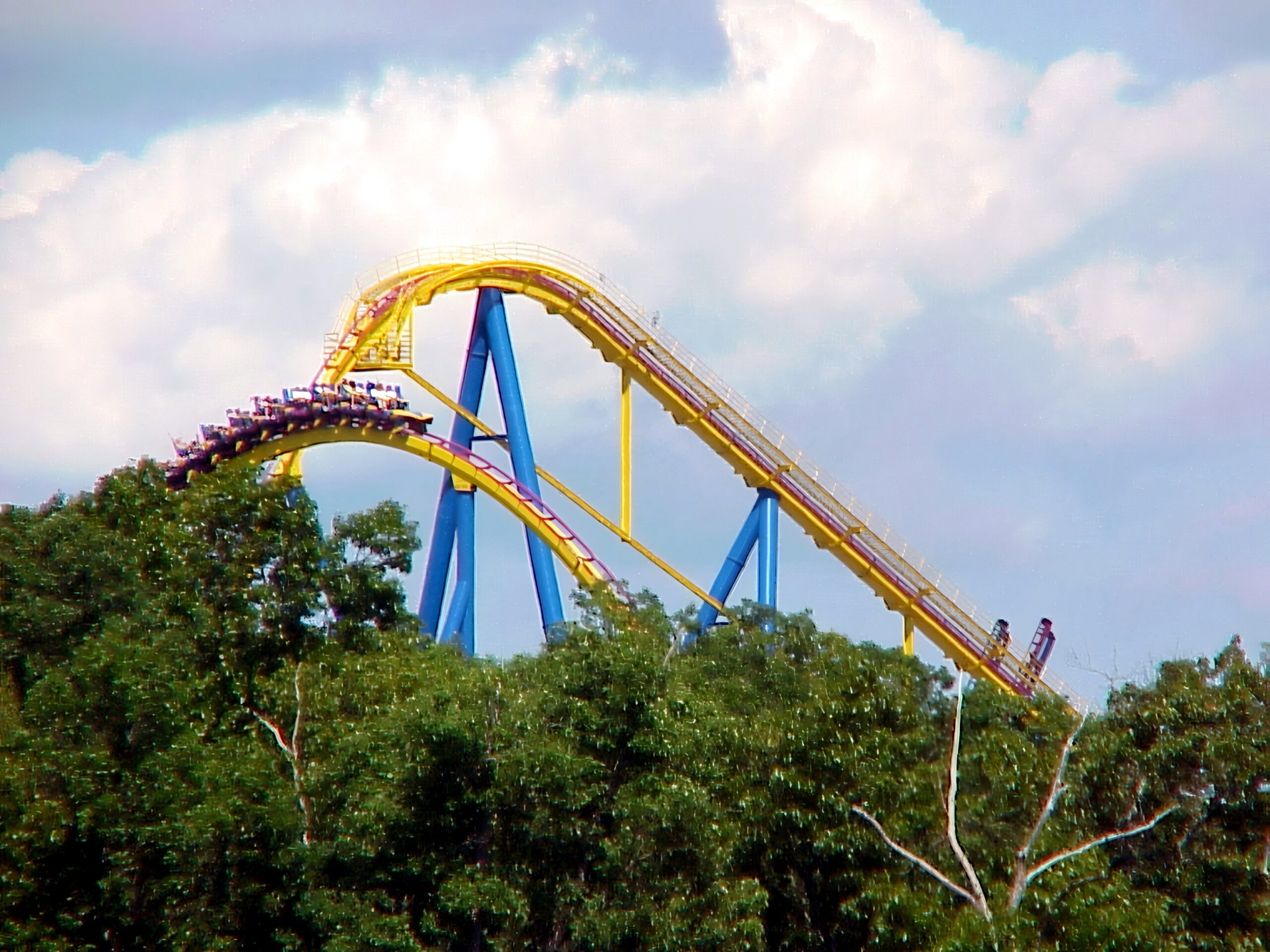 A Nitro train diving over the crest of the first drop, July 2001