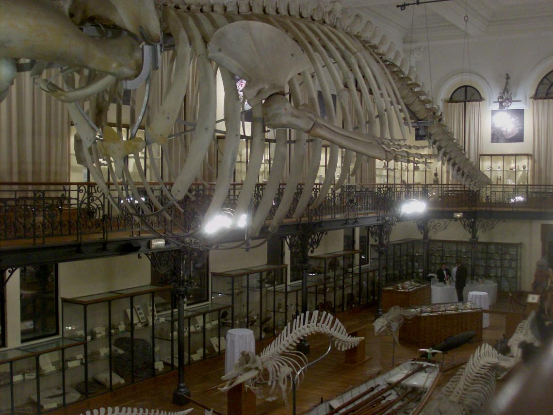 Oceanographic Museum of Monaco