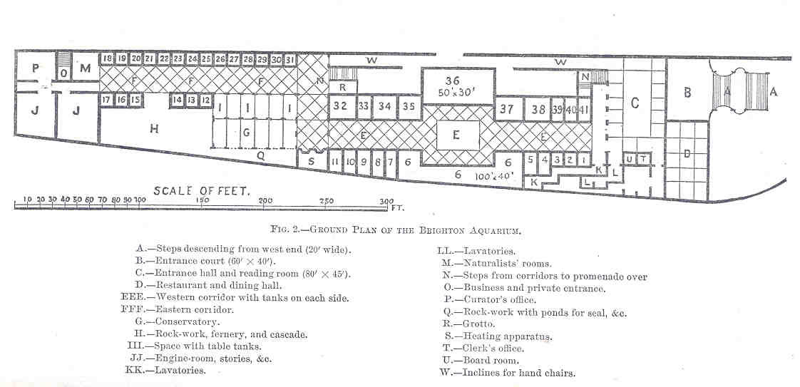 Oldest Aquariums in the World