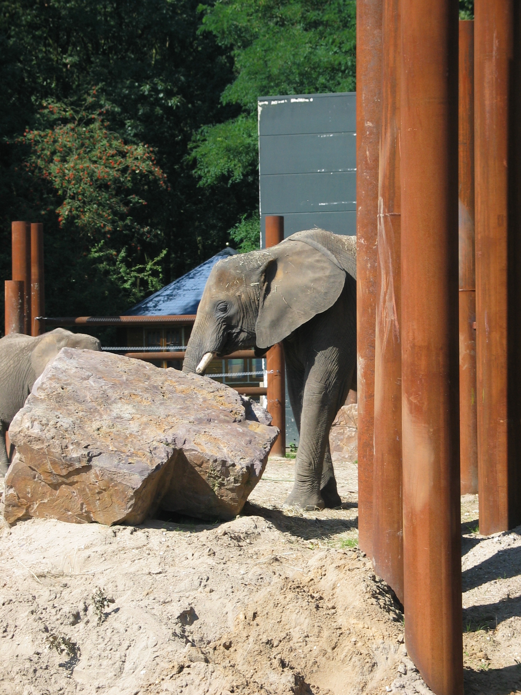 Ouwehands Dierenpark