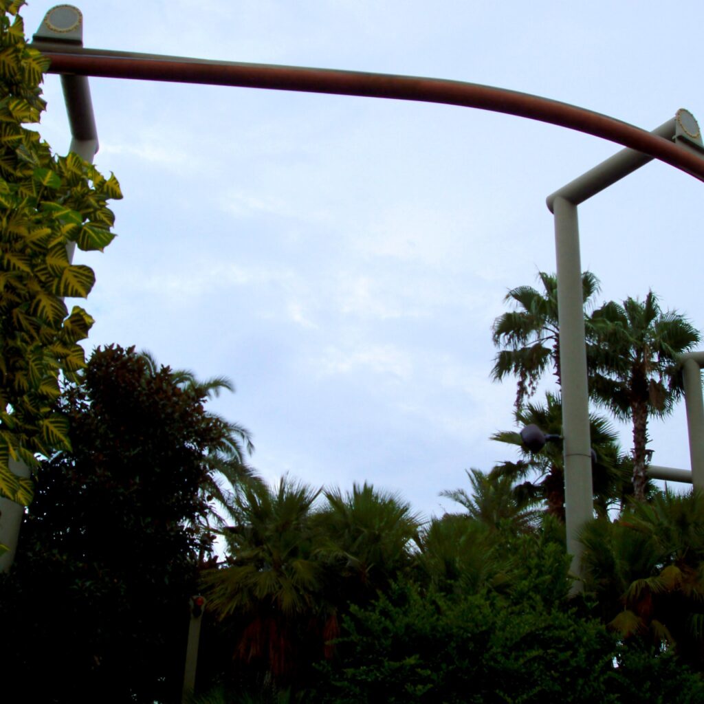 Pteranodon Flyers track above the palms at Camp Jurassic, Islands of Adventure, July 2006