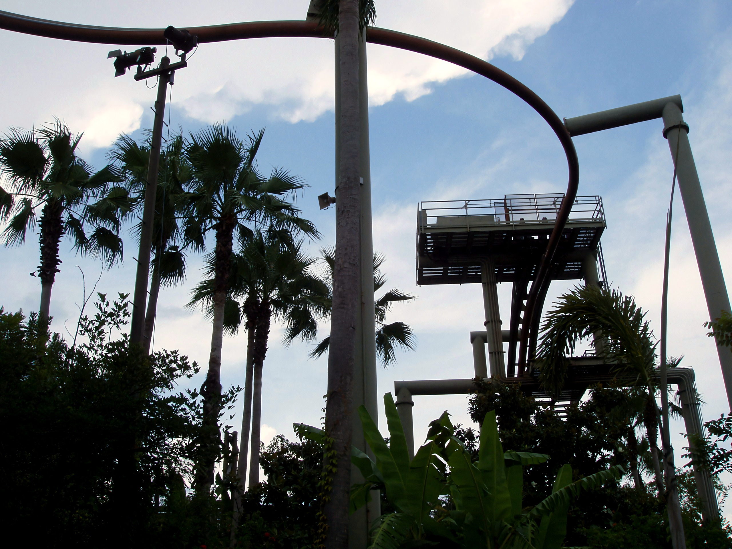 Pteranodon Flyers' lift tower, catwalk and track above the palms at Universal's Islands of Adventure, July 2006