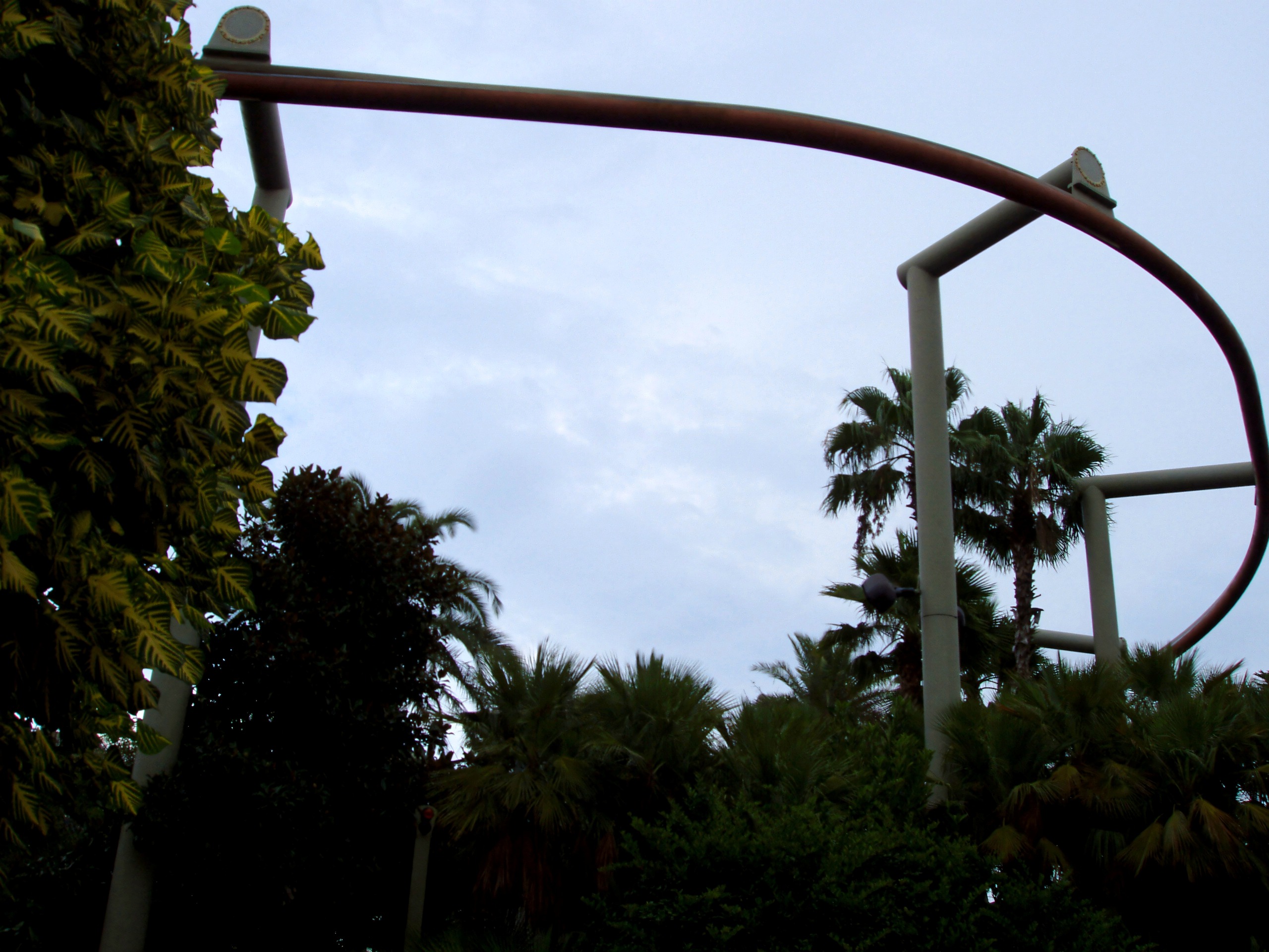 Pteranodon Flyers' suspended track curving above the palms at Universal's Islands of Adventure, July 2006