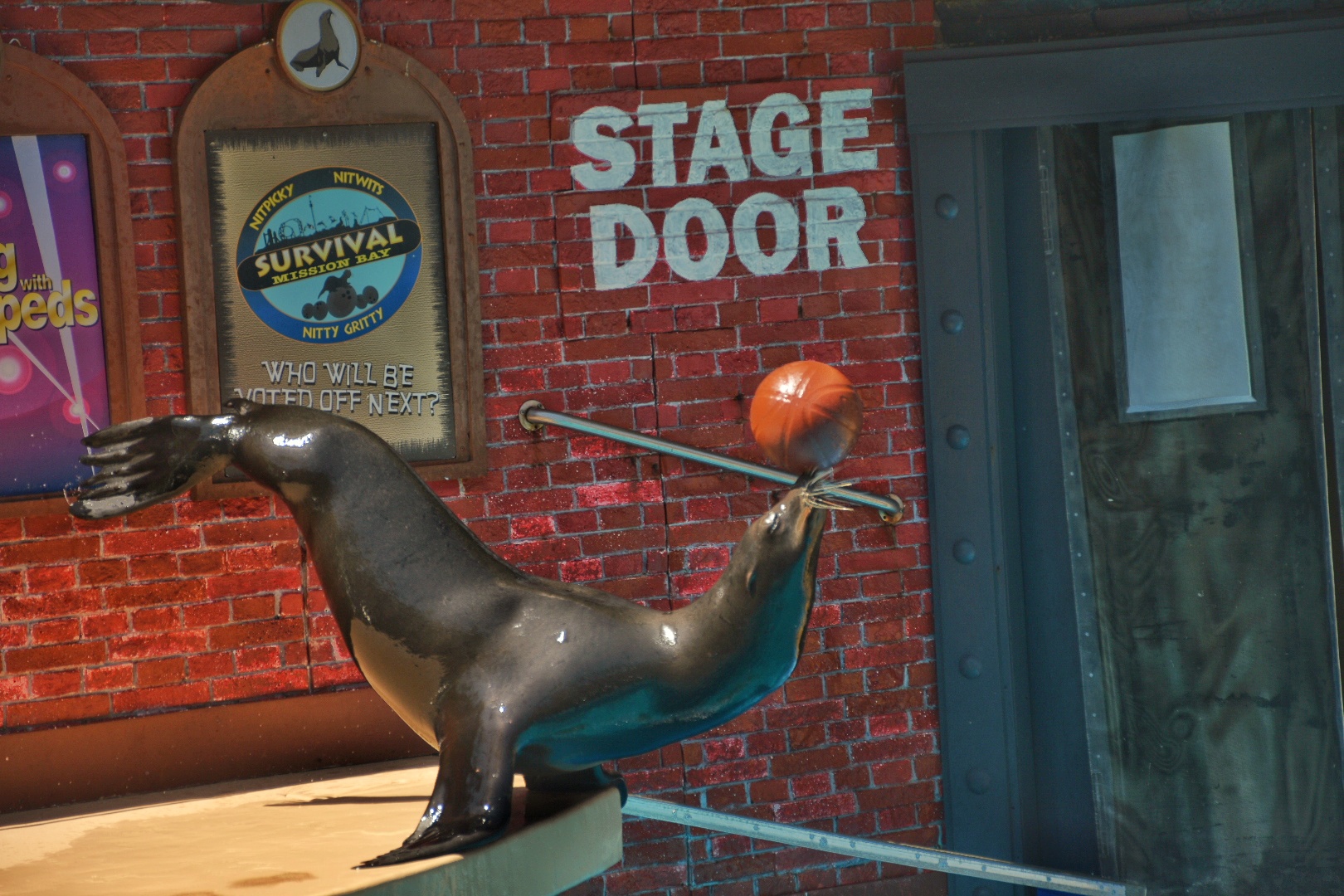 SeaWorld San Diego Height Requirements