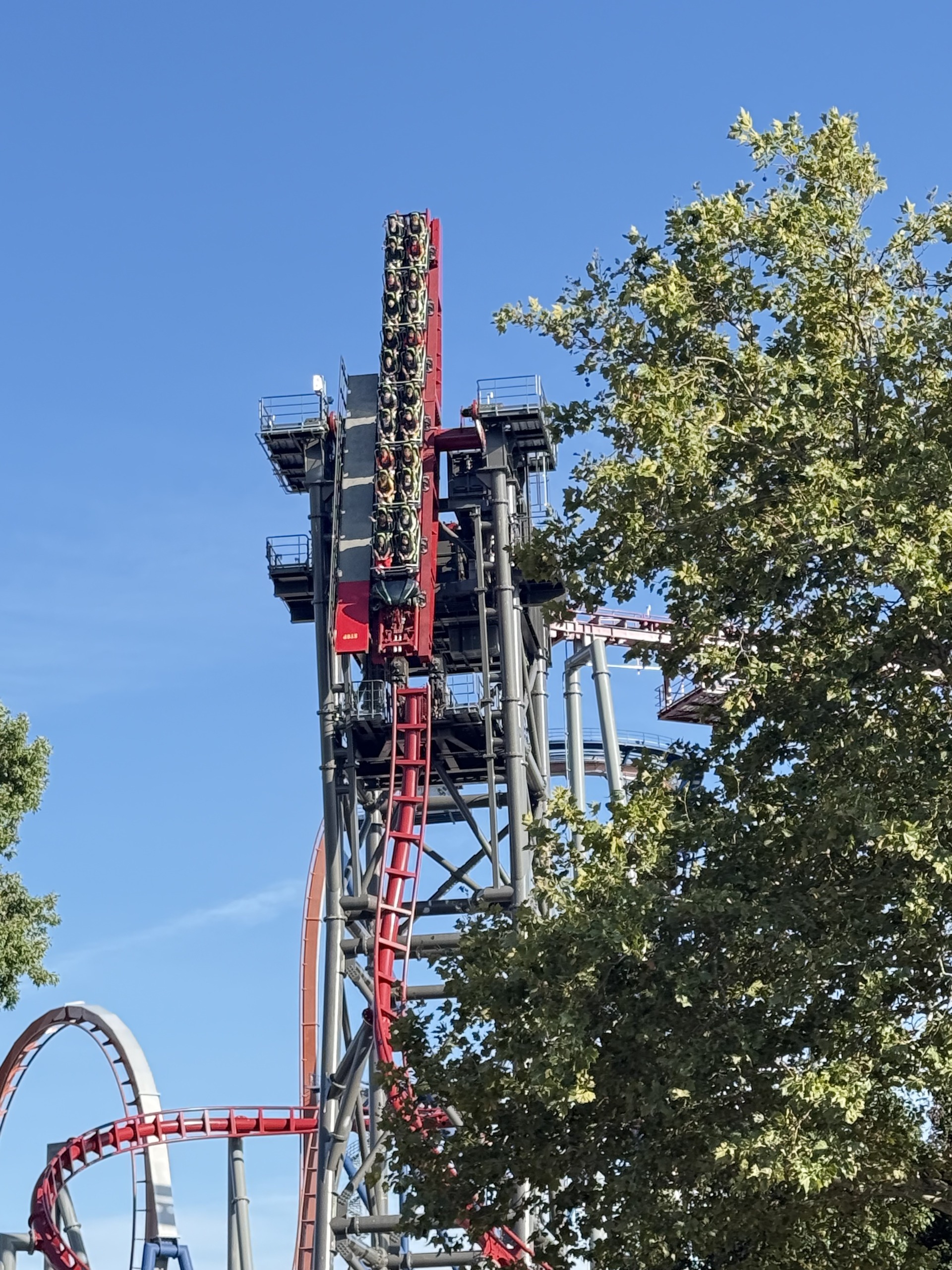 The Siren's Curse tilt section with a train held vertical, trees in the foreground