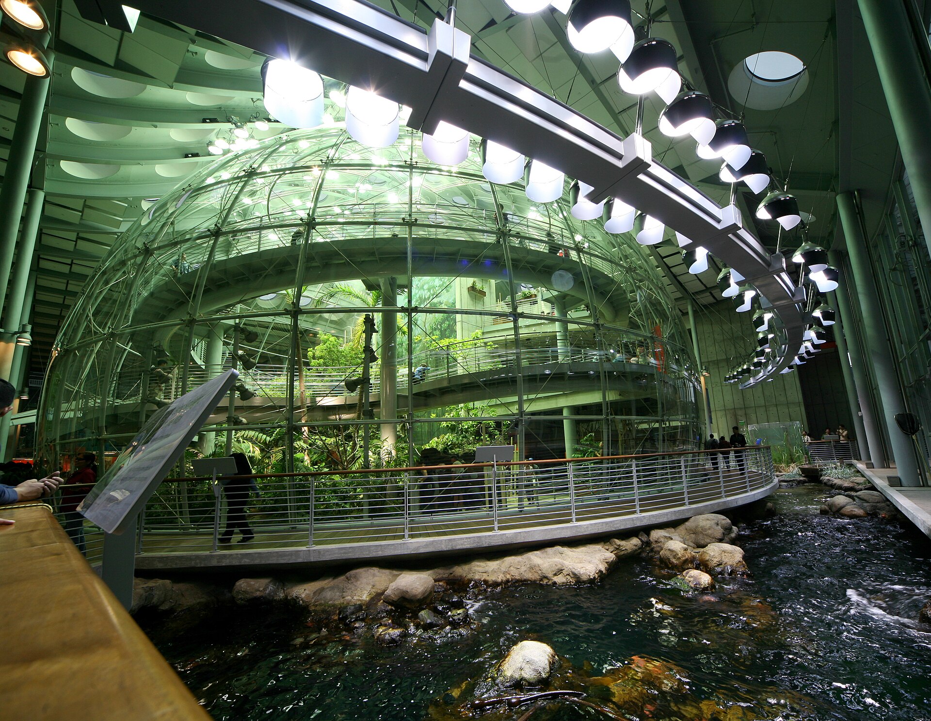 Steinhart Aquarium
