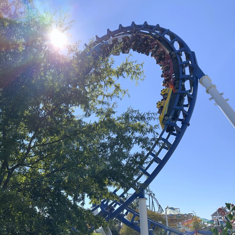 Upside down in the cobra roll, October 13, 2024. Lark-style edit.
