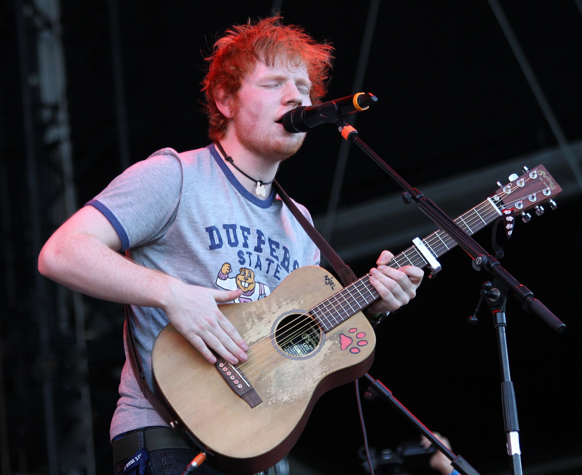Theme Park & Live Music News
