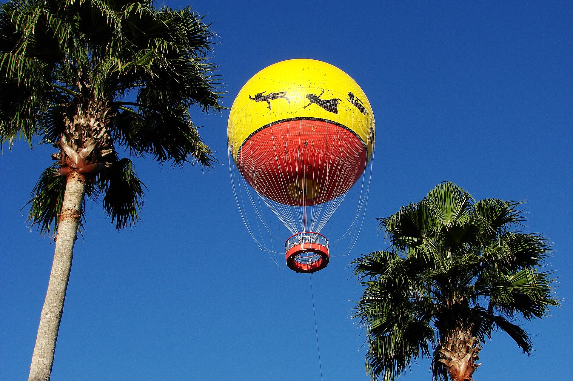Theme Park News