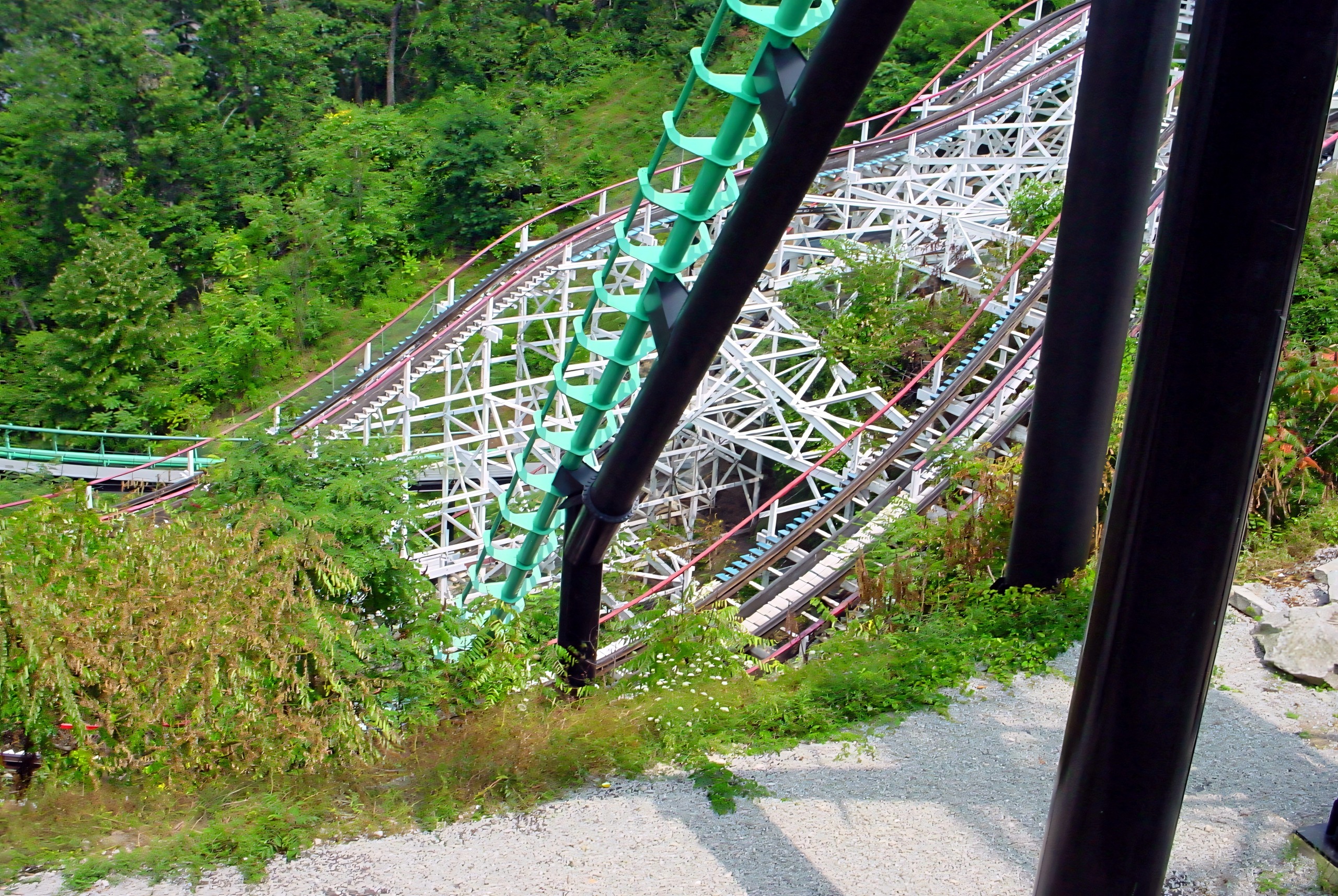 Thunderbolt's white lift structure among the trees with Phantom's Revenge's green track in front, July 2003