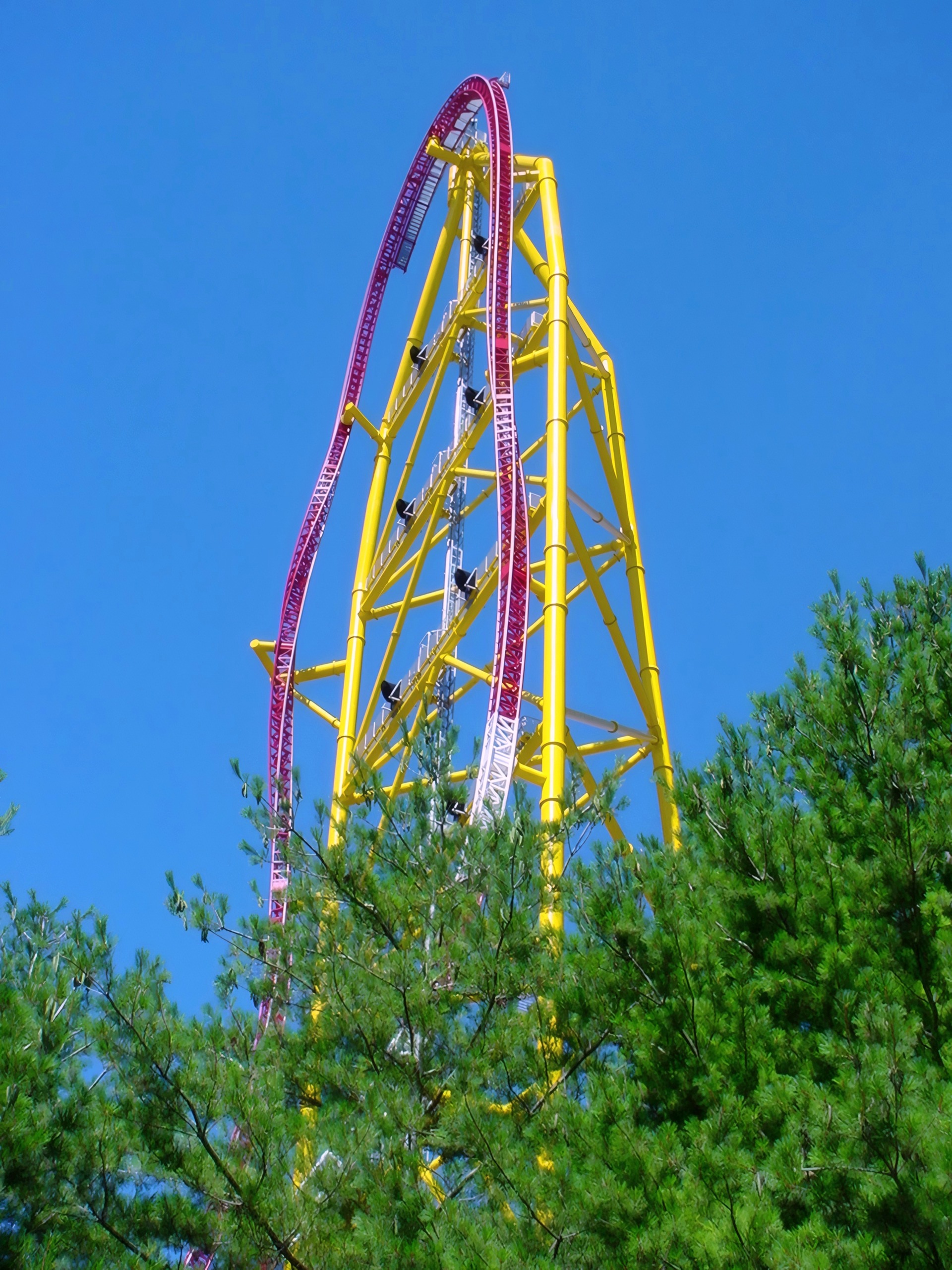 Tower and track top-hat seen past pine treetops, Top Thrill Dragster, July 2003