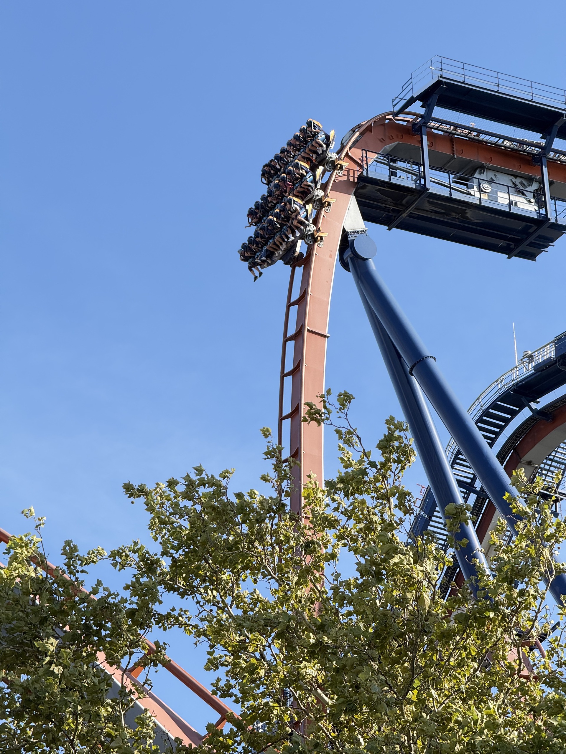A Valravn dive coaster train tipping over the vertical first drop against a blue sky