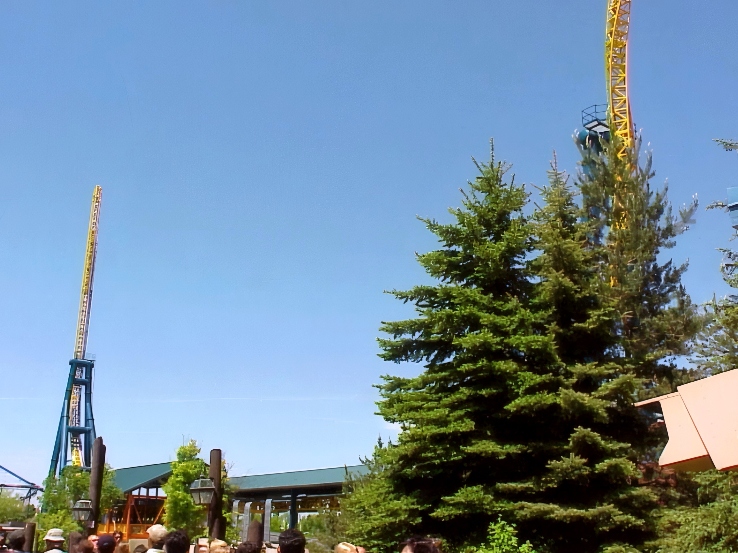 Vertical Velocity's twisted and vertical spikes rising above the trees at Six Flags Great America