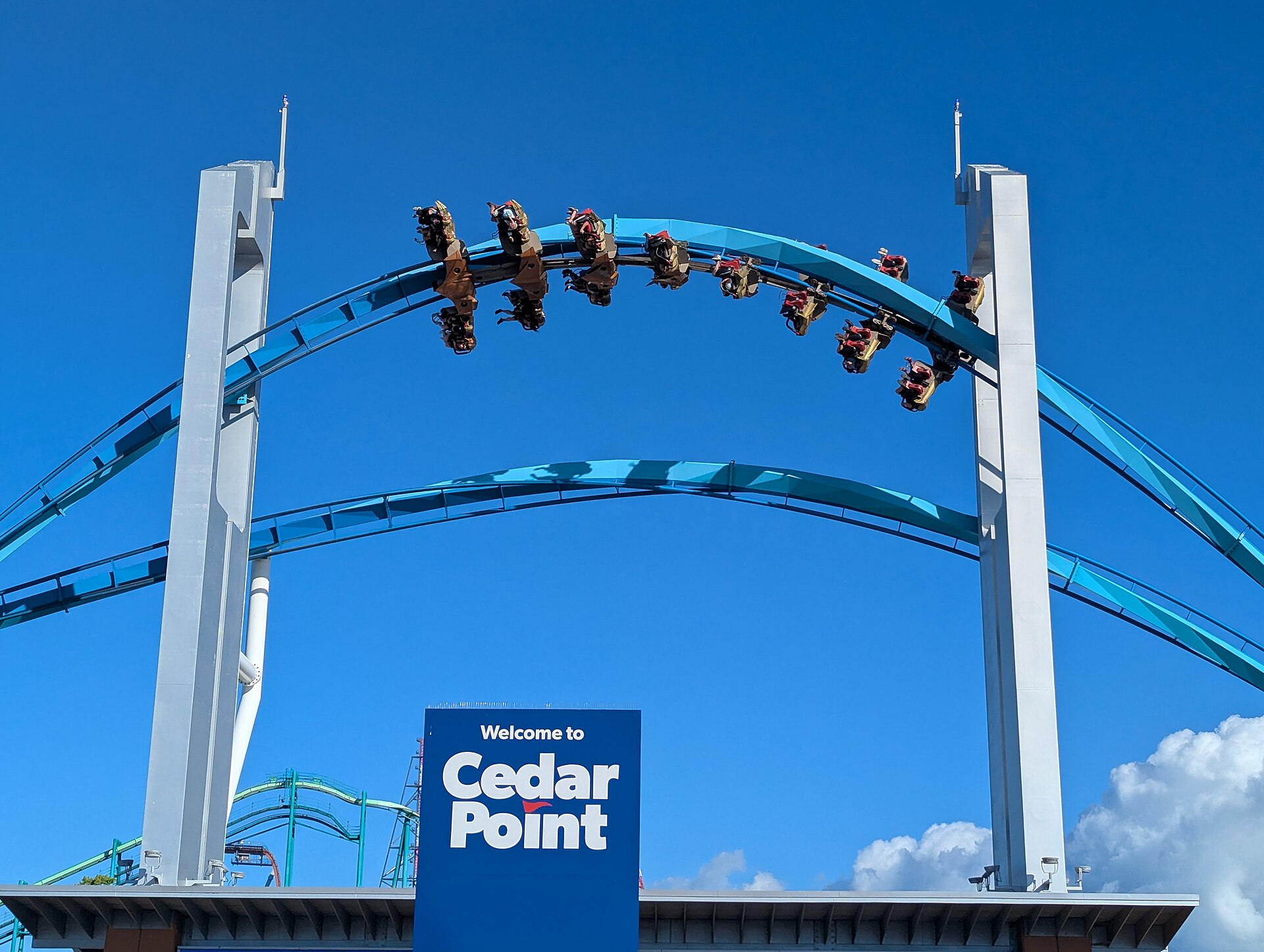 Wild Mouse
