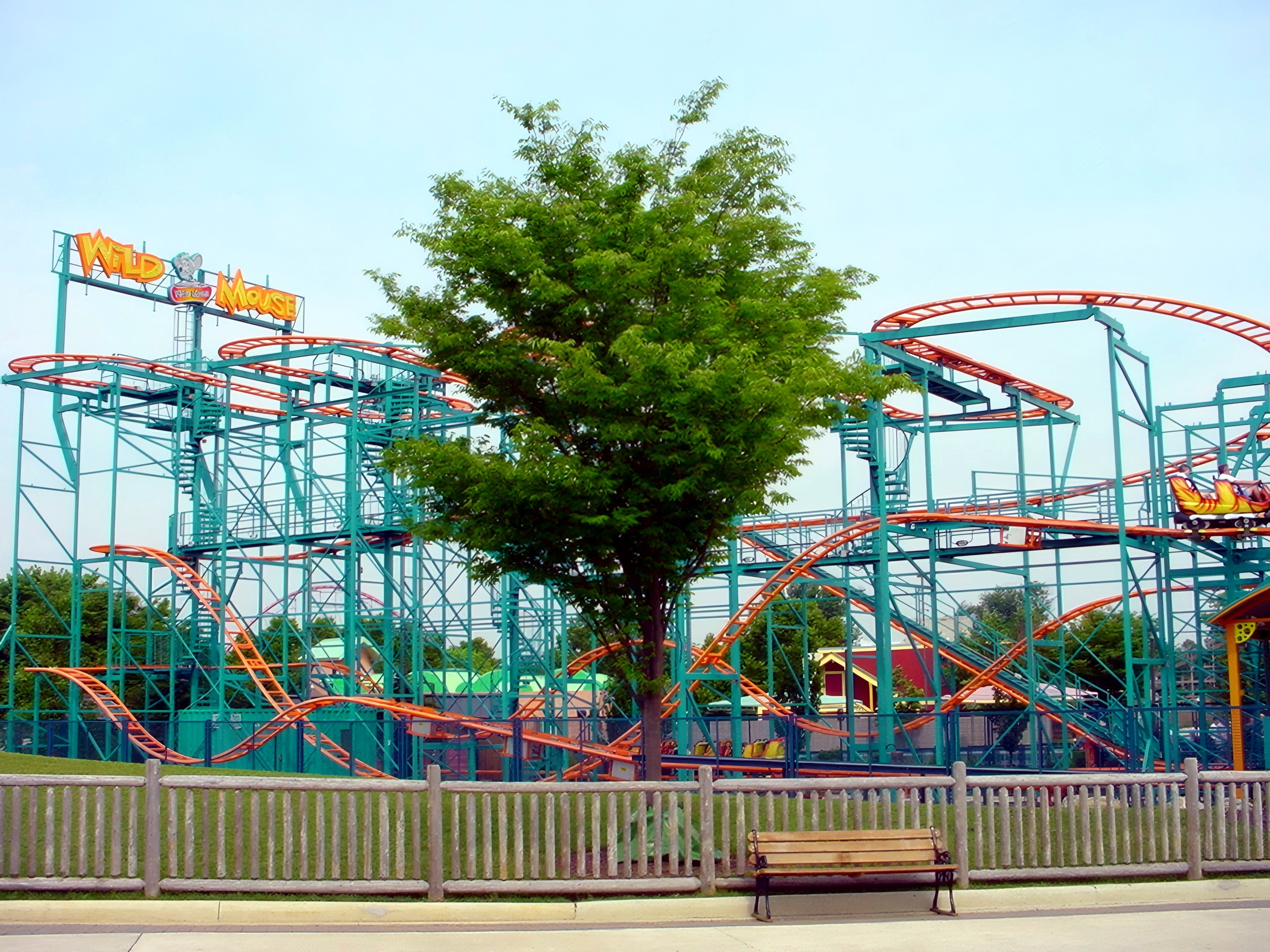 The Dorney Park Wild Mouse's teal structure and orange track behind a tree, July 2001