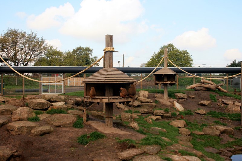 Yorkshire Wildlife Park