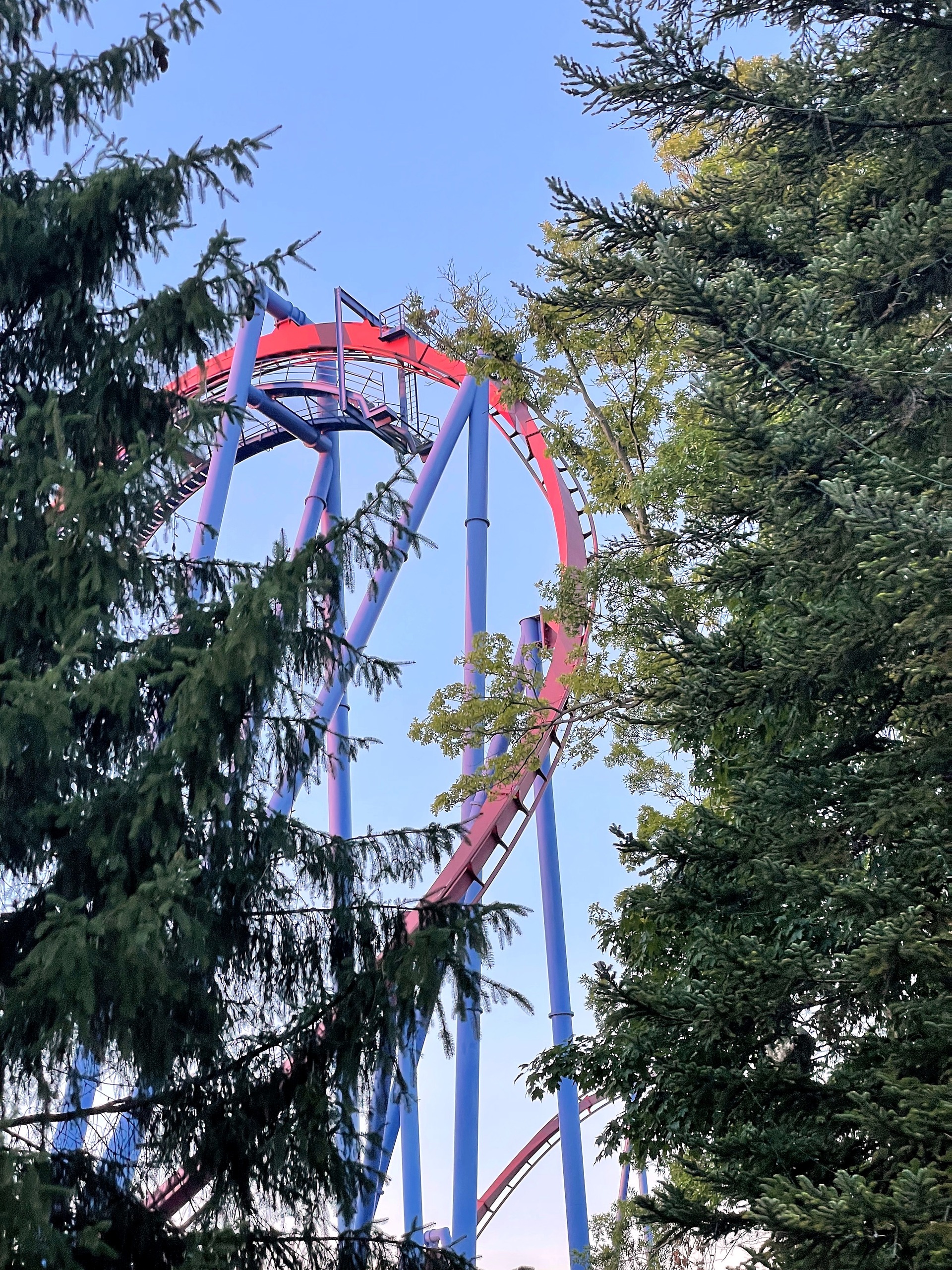 The maroon track and blue supports of Banshee's loop seen between evergreens, Kings Island, July 2022