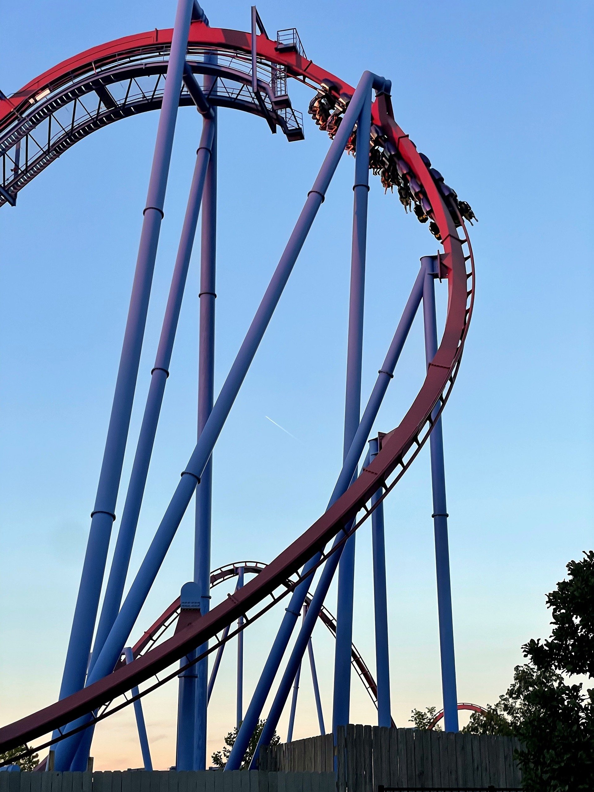 A Banshee train high on the outside of a tall maroon curve at sunset, Kings Island, July 2022