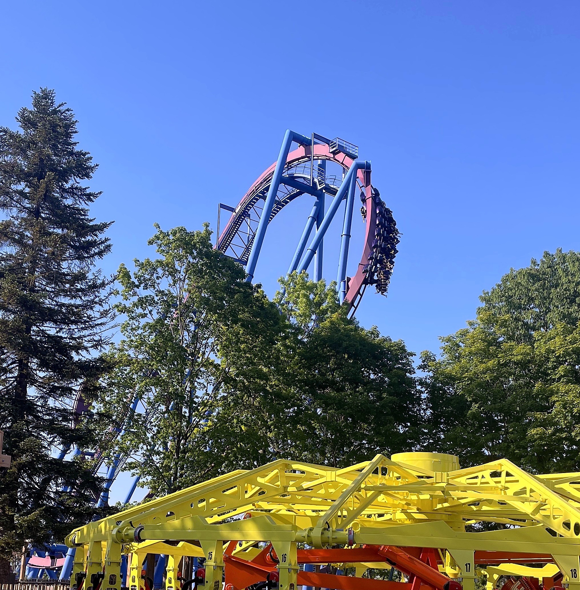 A Banshee train in the vertical loop above the trees and a yellow ride canopy, Kings Island, June 2023