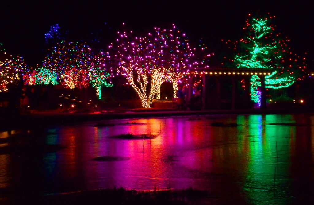 Blossoms of Light